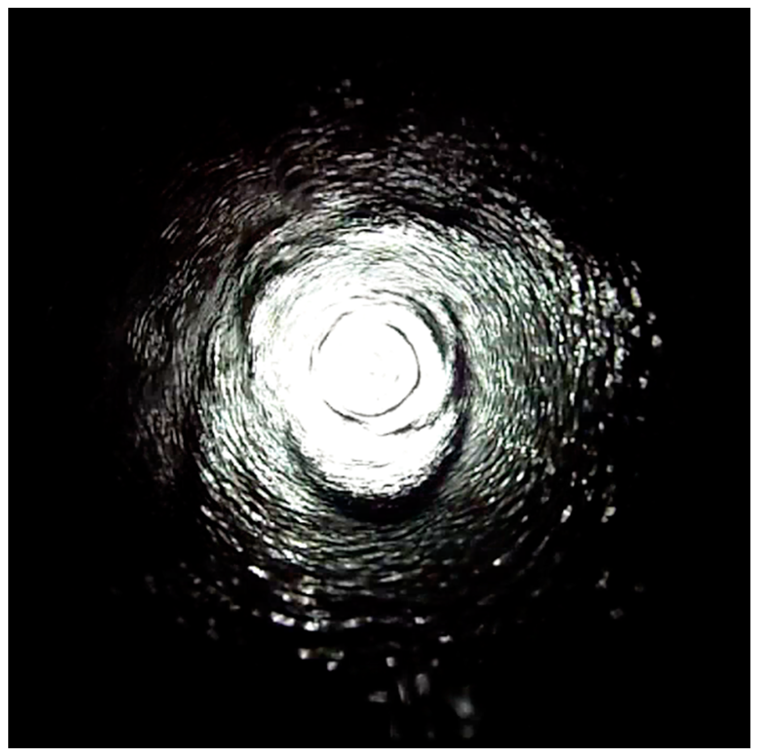 Resources 09 00069 g002