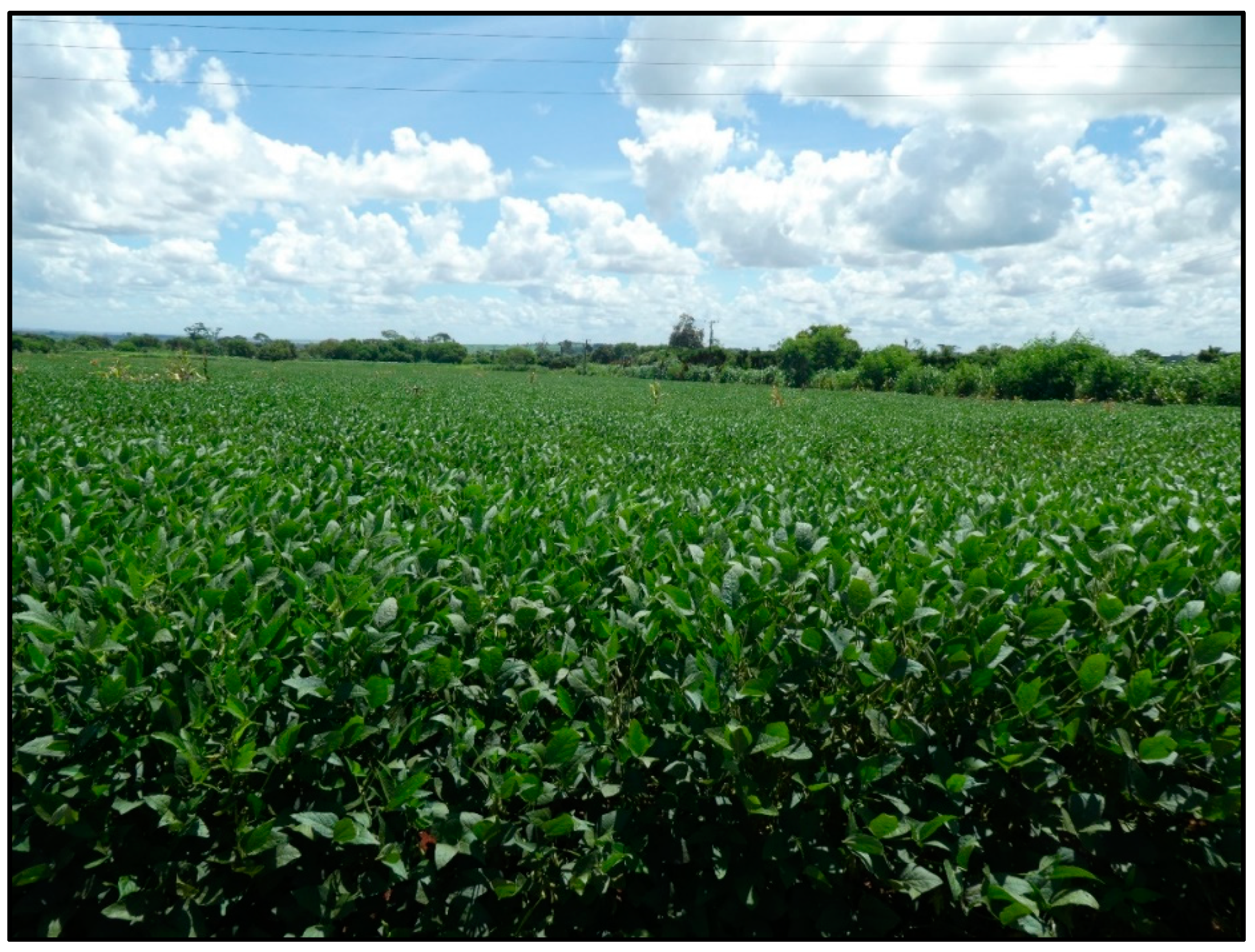 Resources 09 00084 g002