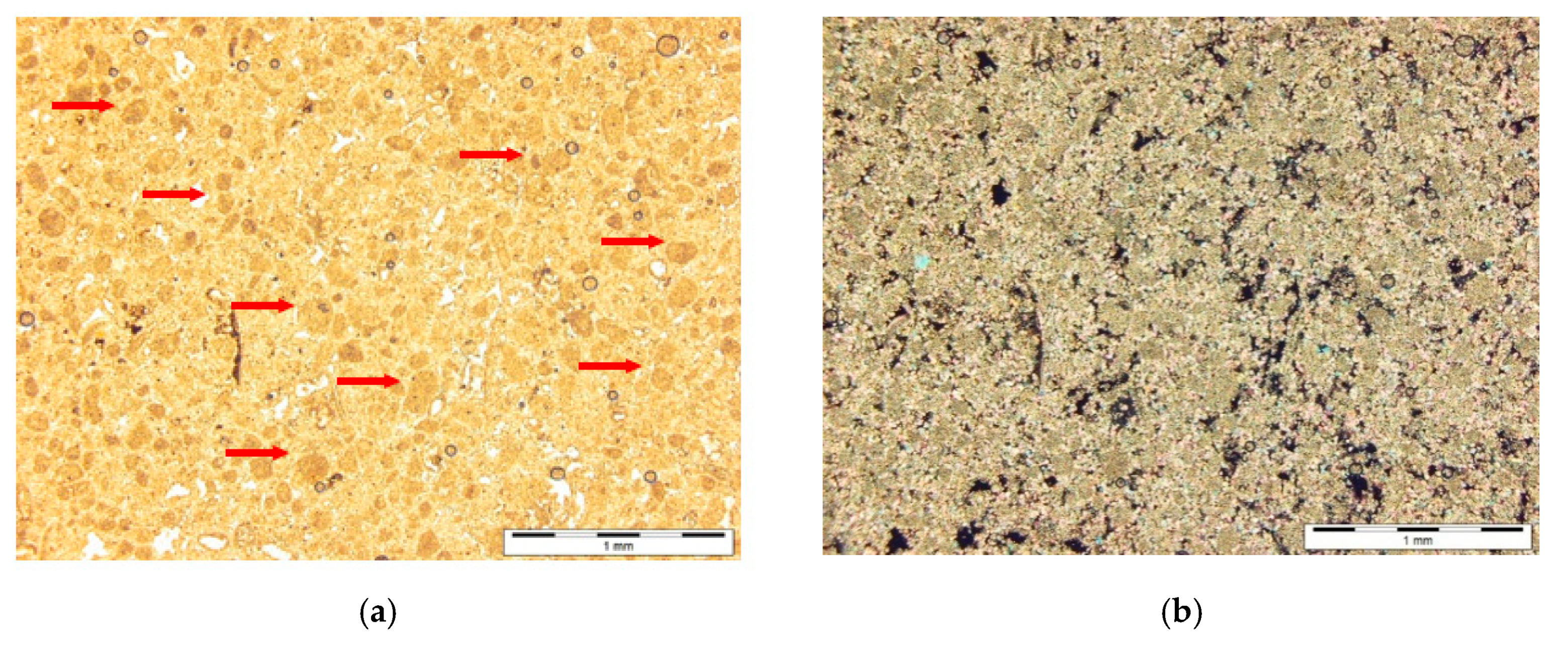 Resources 09 00121 g004