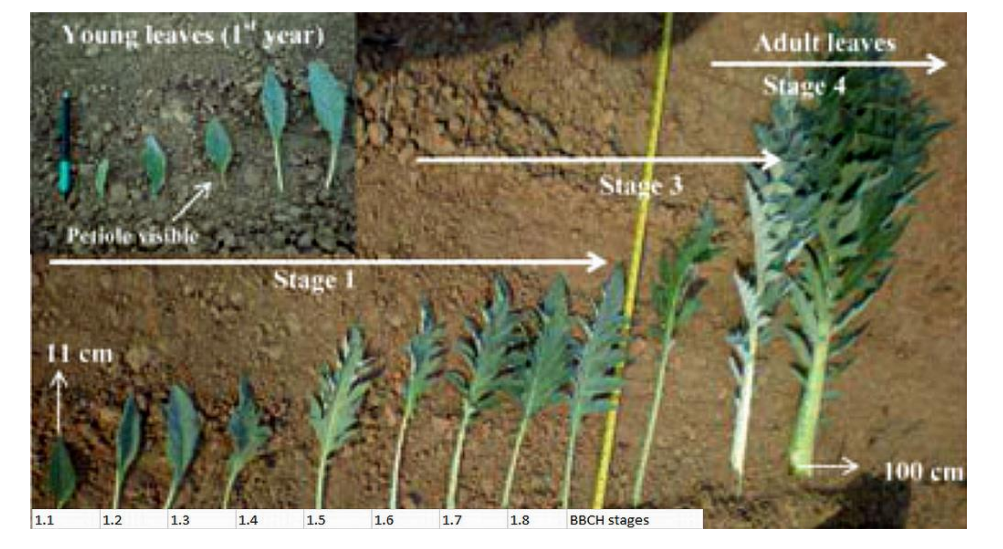 Resources 09 00124 g001