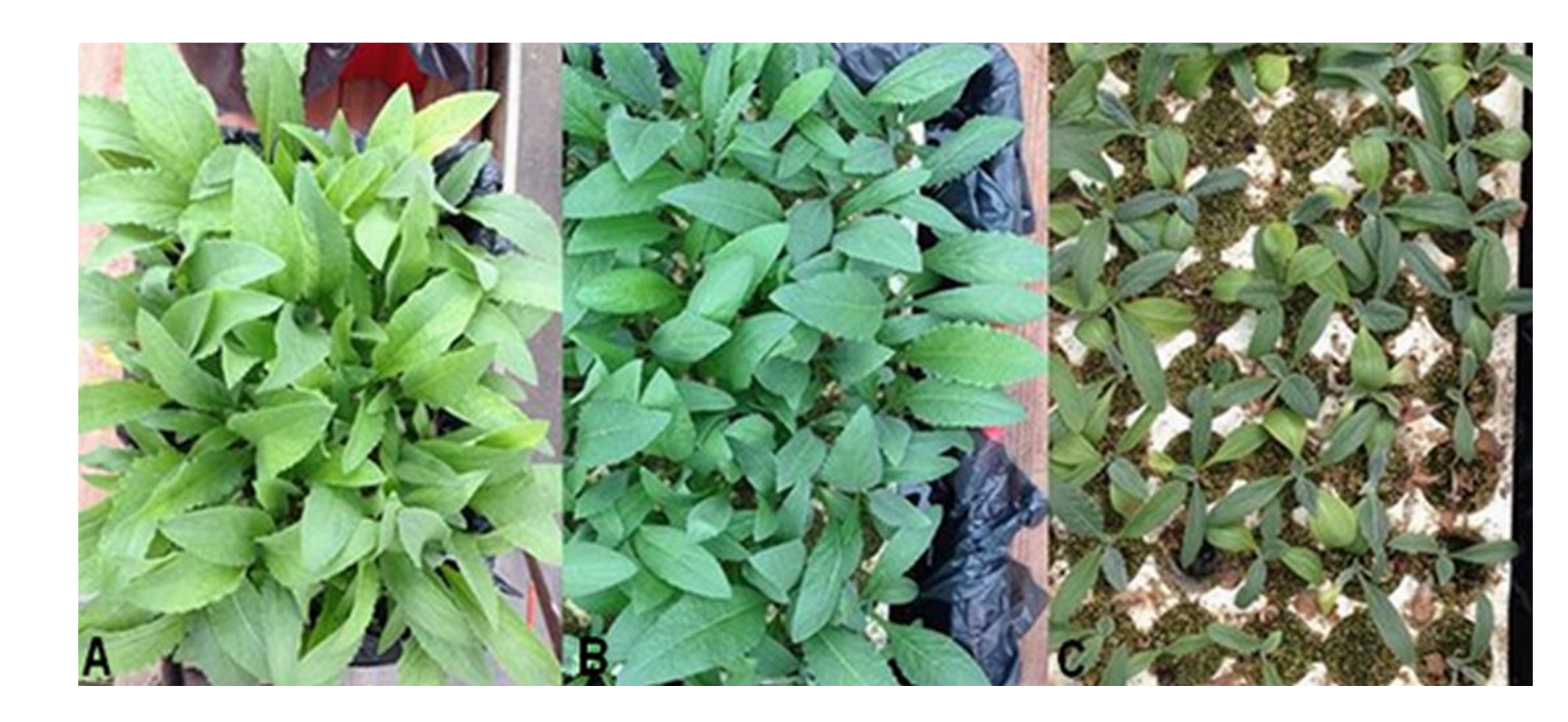 Resources 09 00124 g002