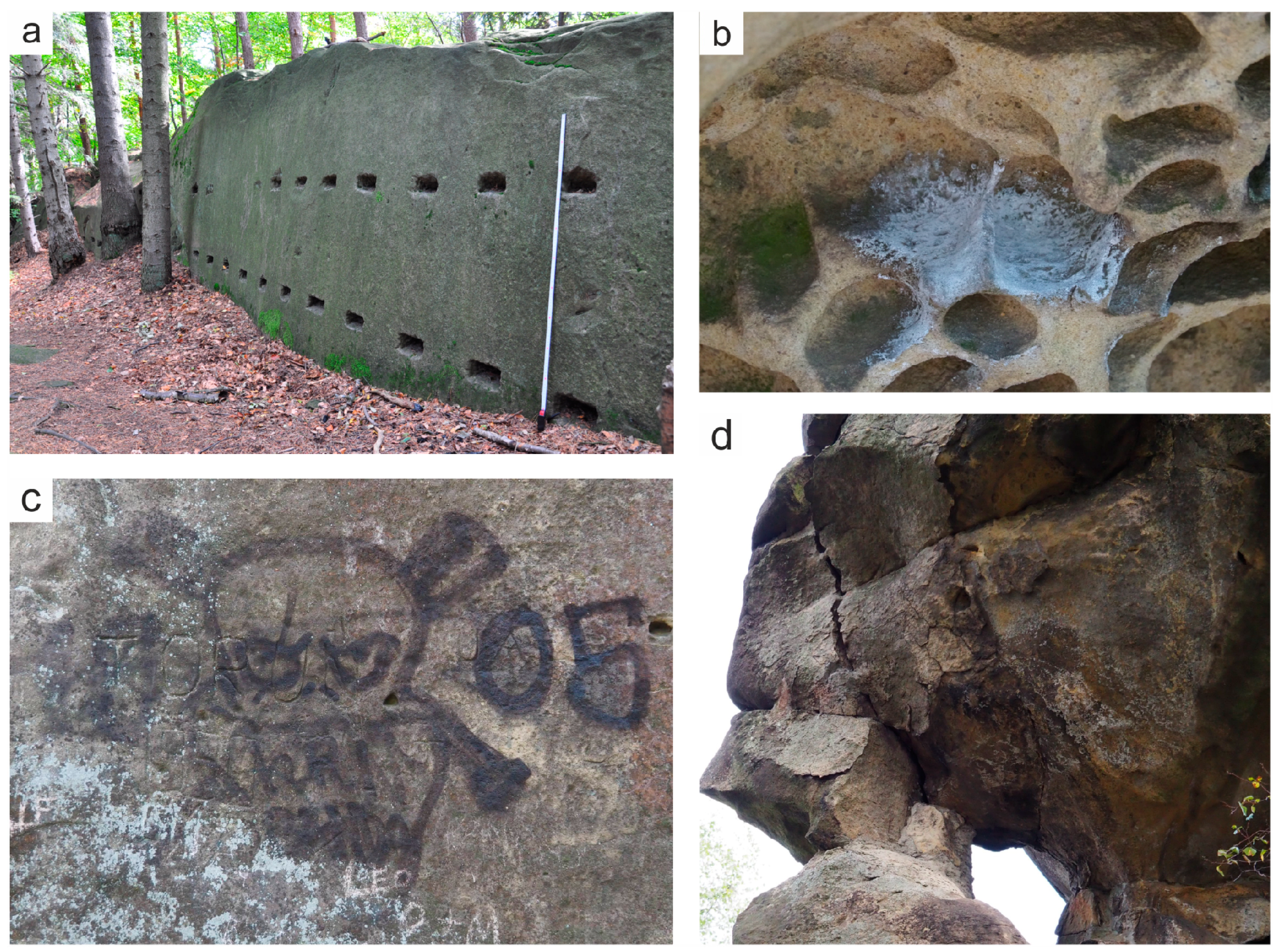 Resources 09 00145 g006 Resources 09 00145 g006