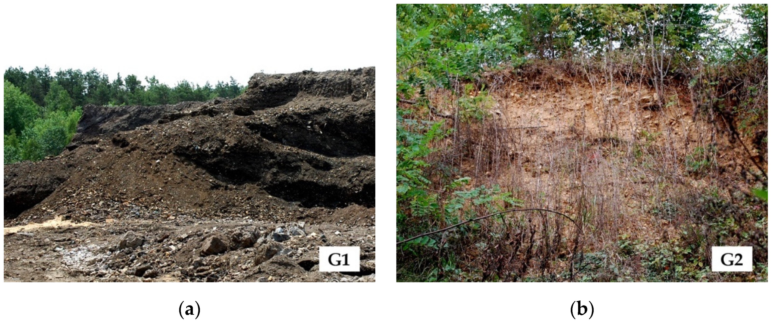 Resources 10 00046 g001