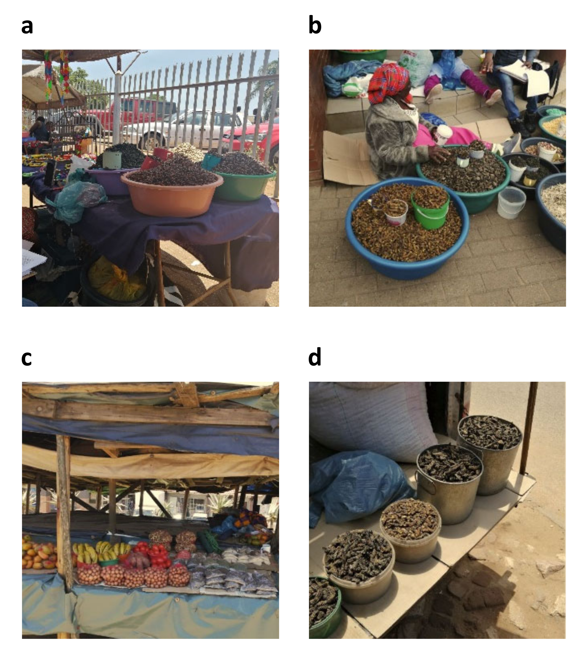 Resources 10 00123 g002