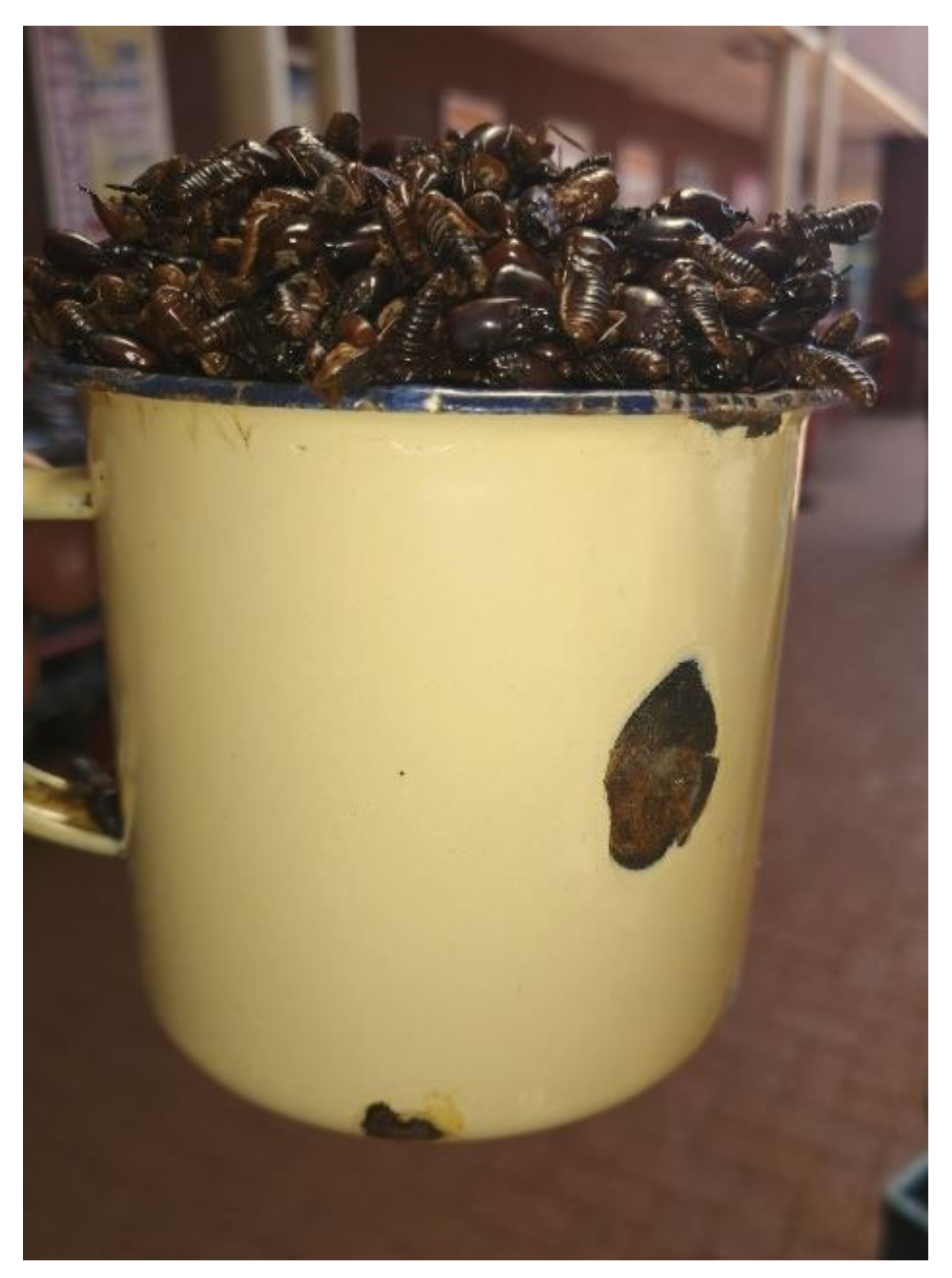 Resources 10 00123 g003