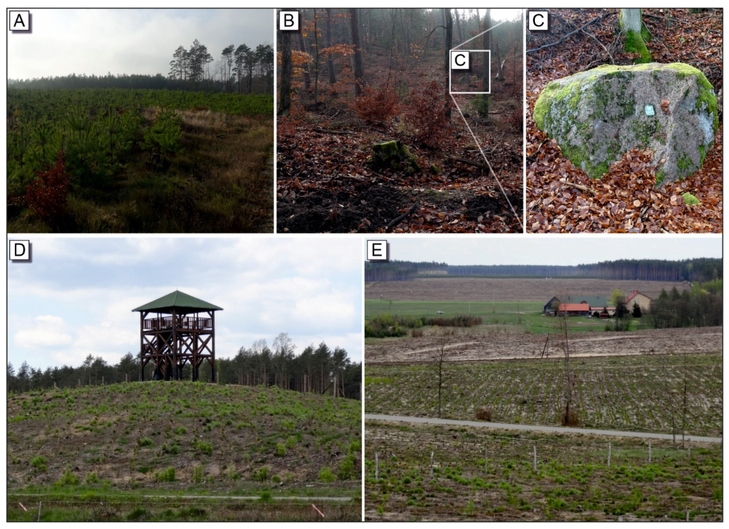 Resources 11 00013 g009