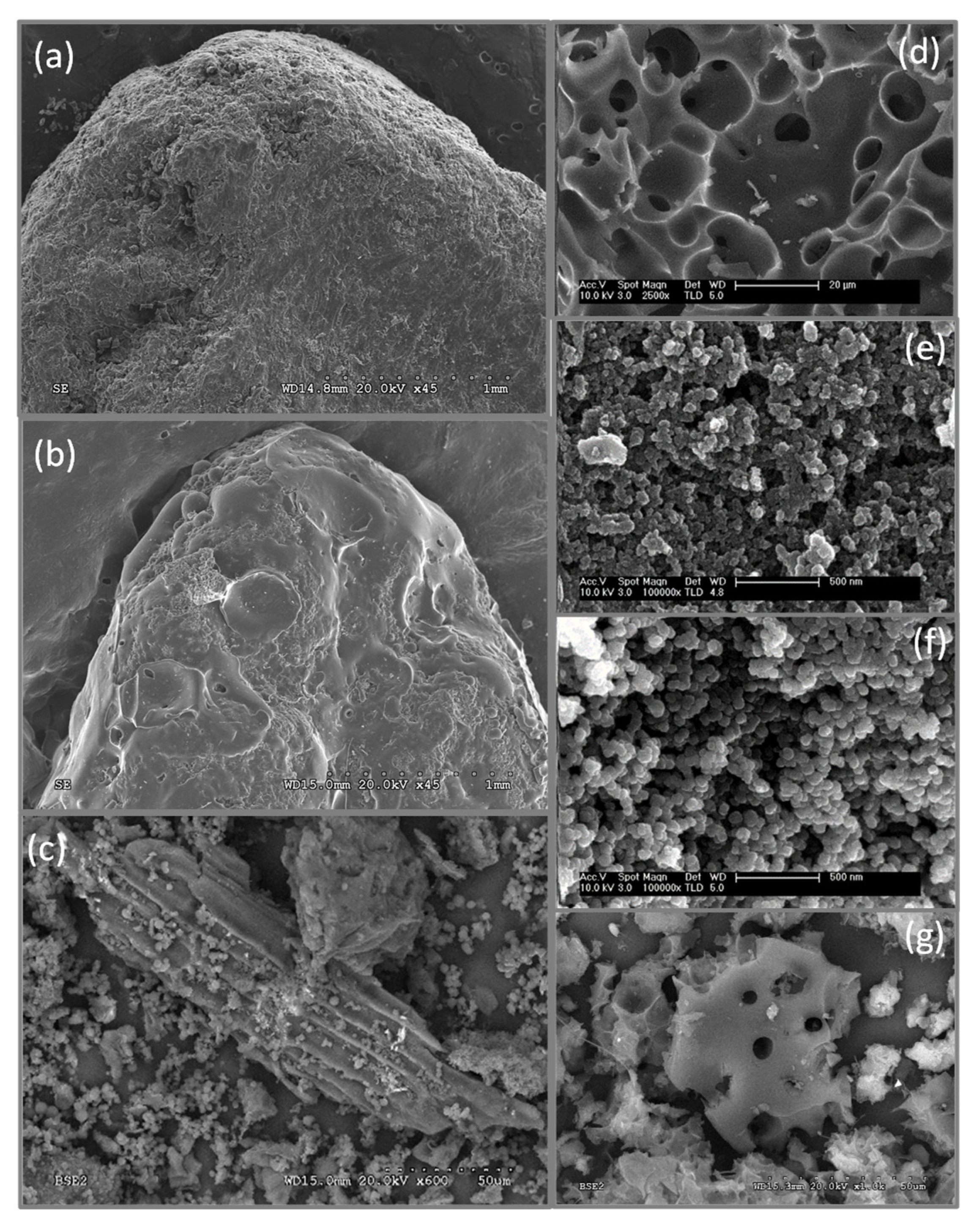 Resources 11 00043 g002