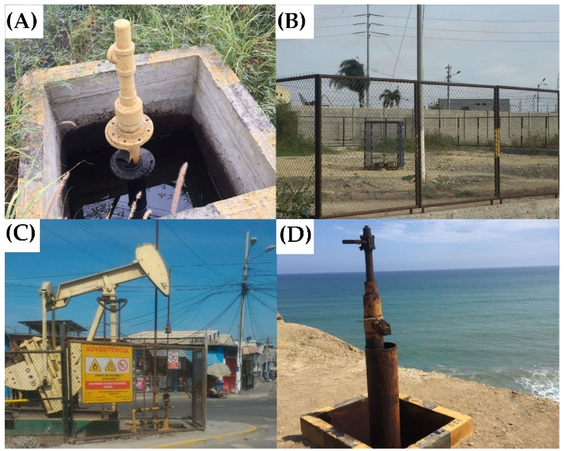 Resources 11 00070 g004