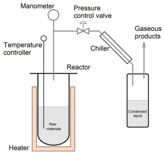 Plant Biomass Conversion to Vehicle Liquid Fuel as a Path to 