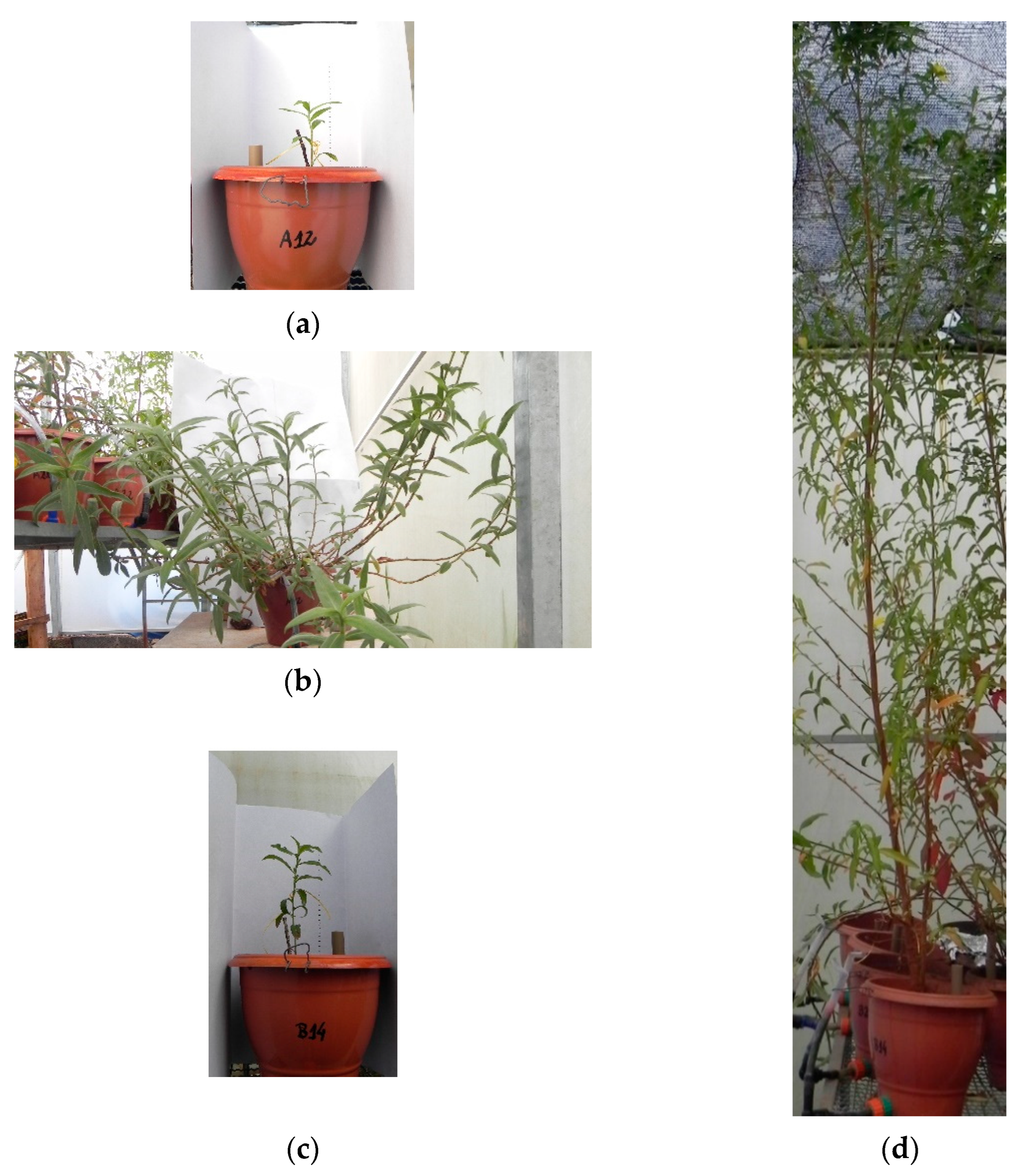 Resources 11 00084 g003 550