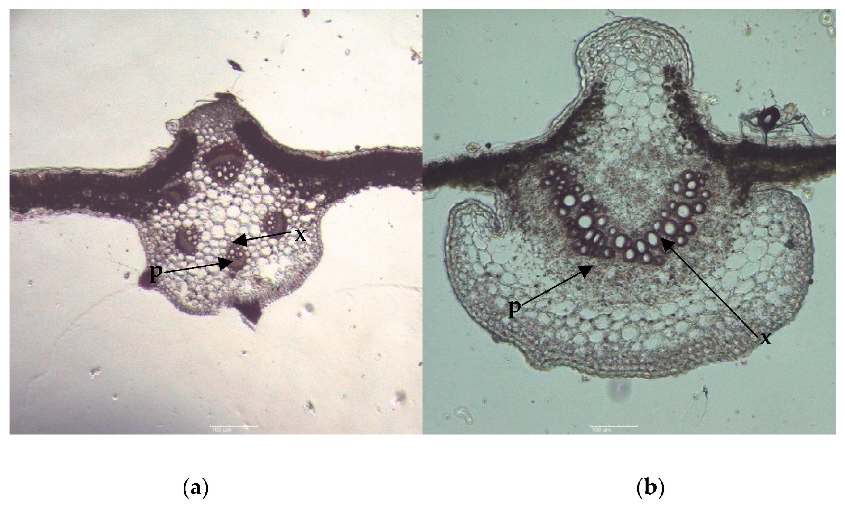 Resources 11 00084 g004 550