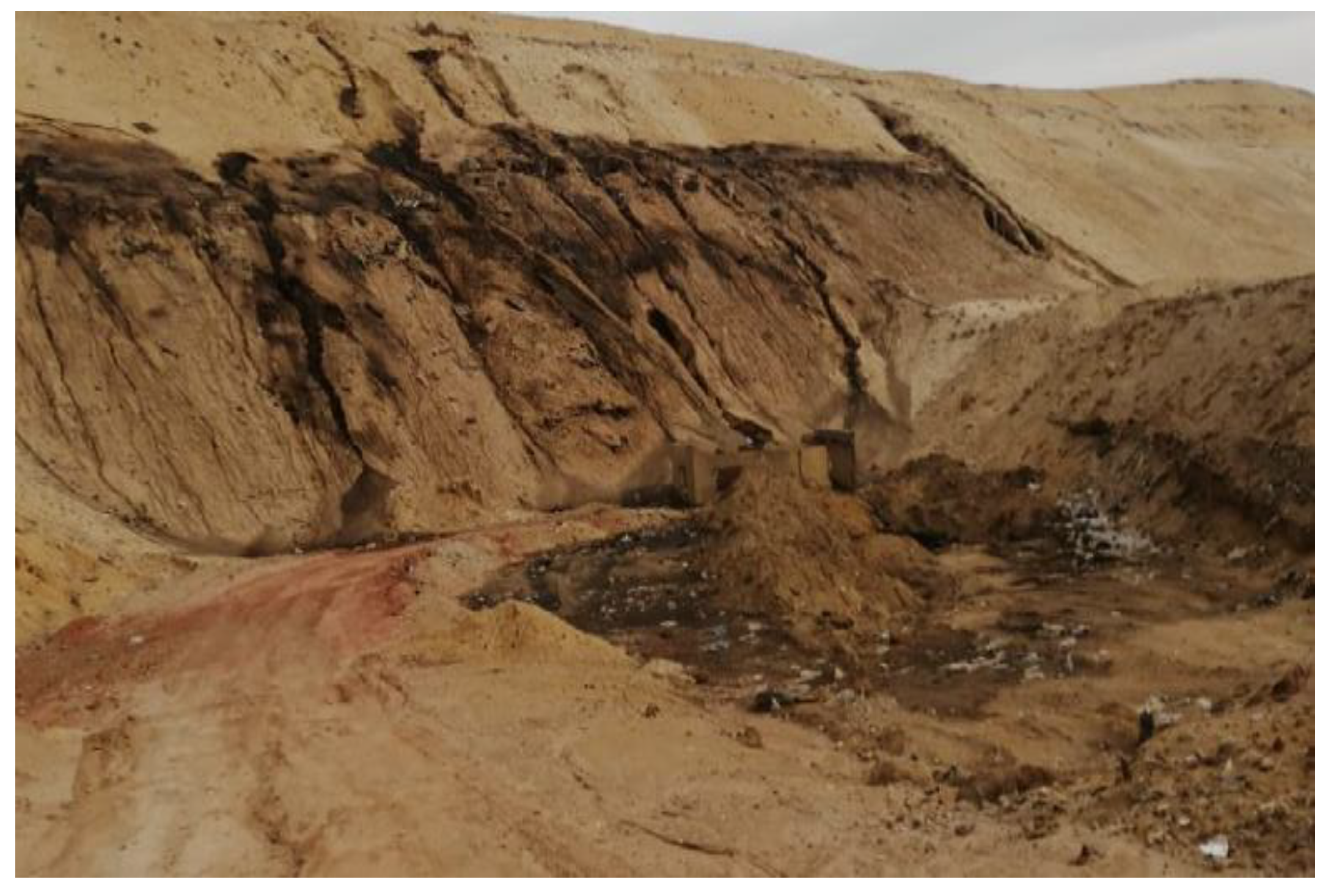 Resources 11 00102 g004