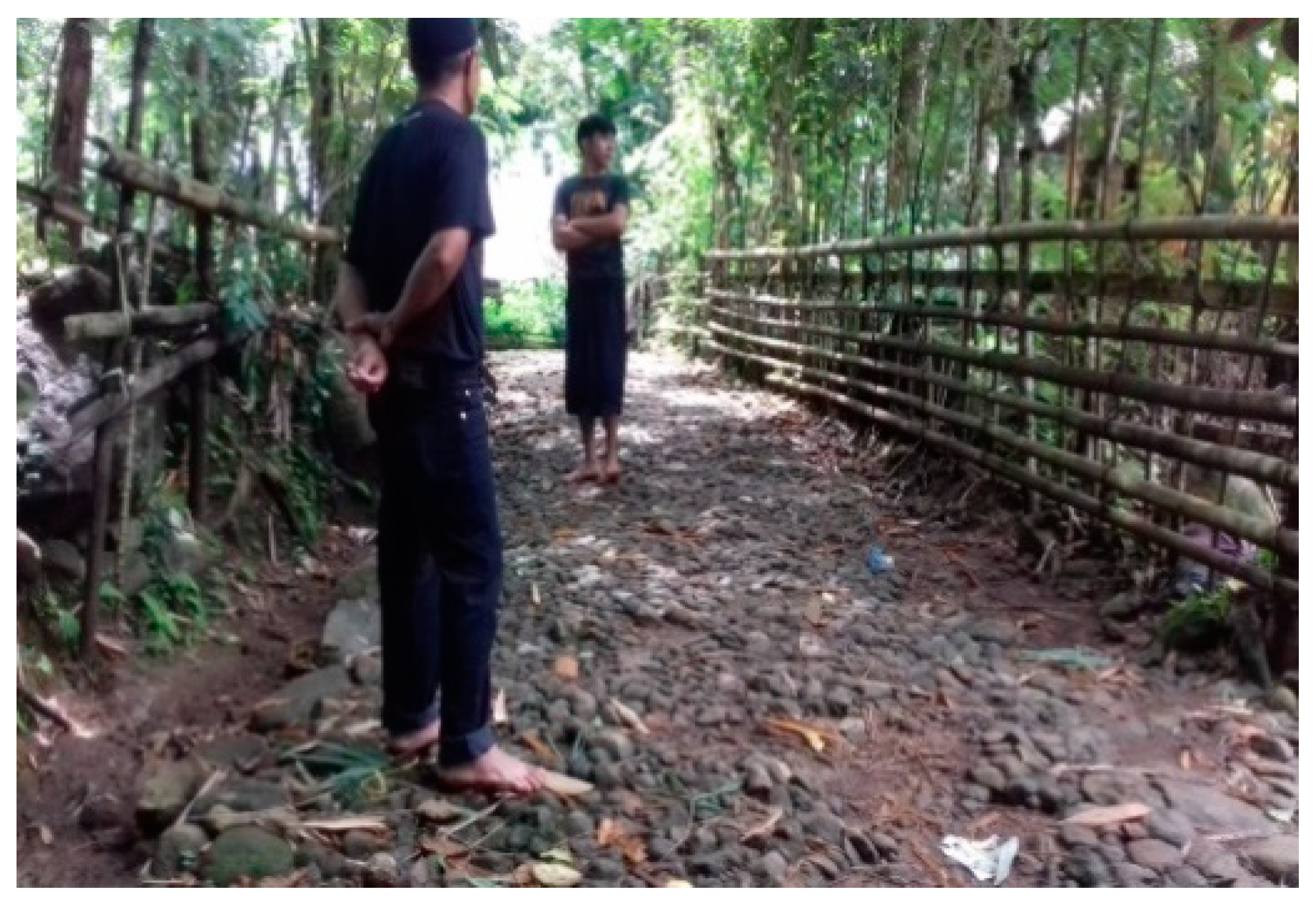 Resources 11 00106 g005