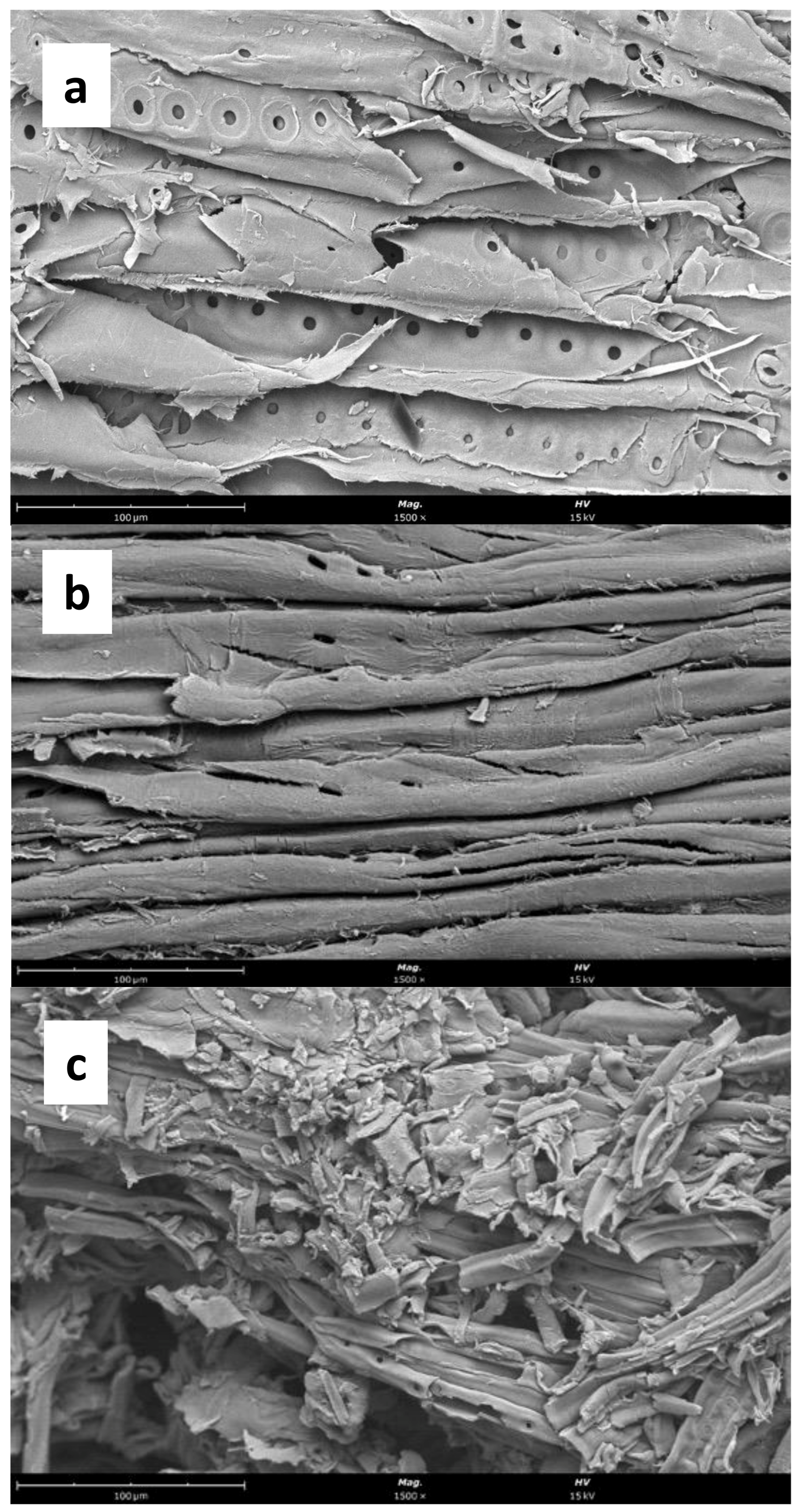 Resources 12 00011 g009