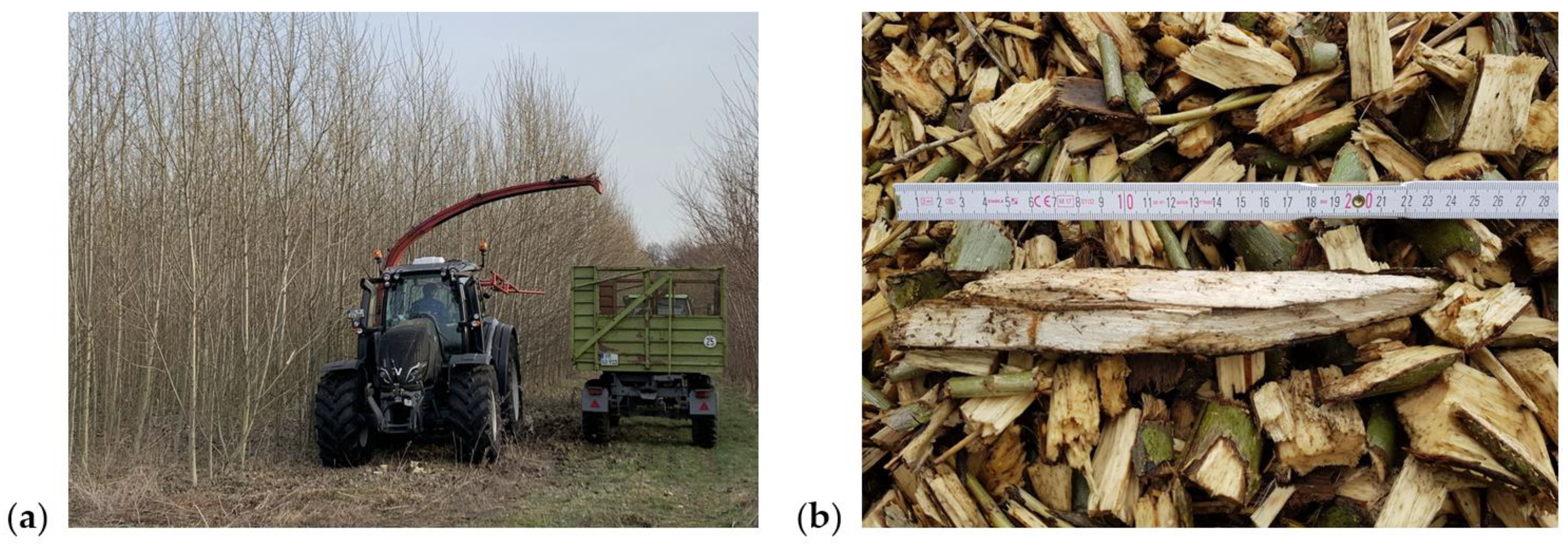 Resources 12 00012 g001 Resources 12 00012 g001