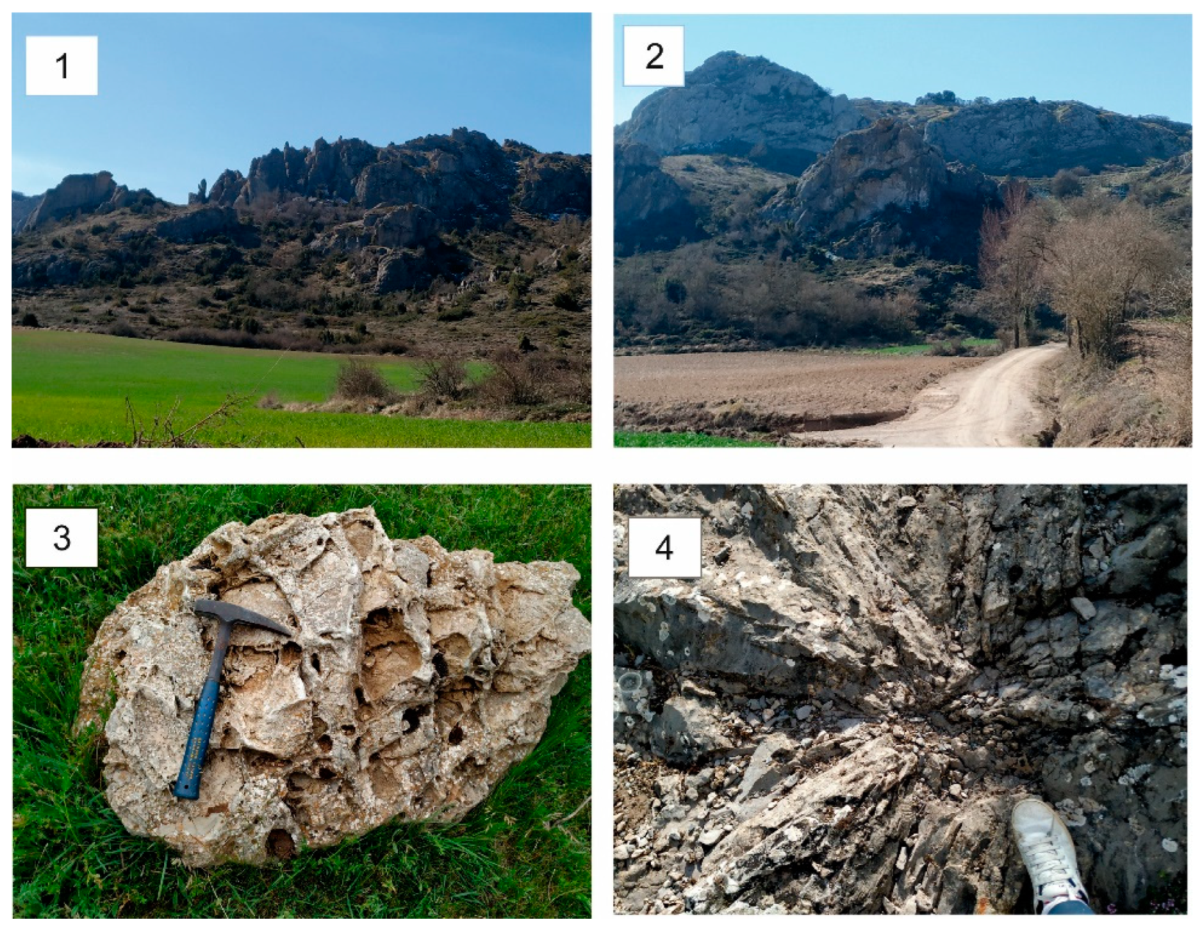 Resources 12 00014 g008