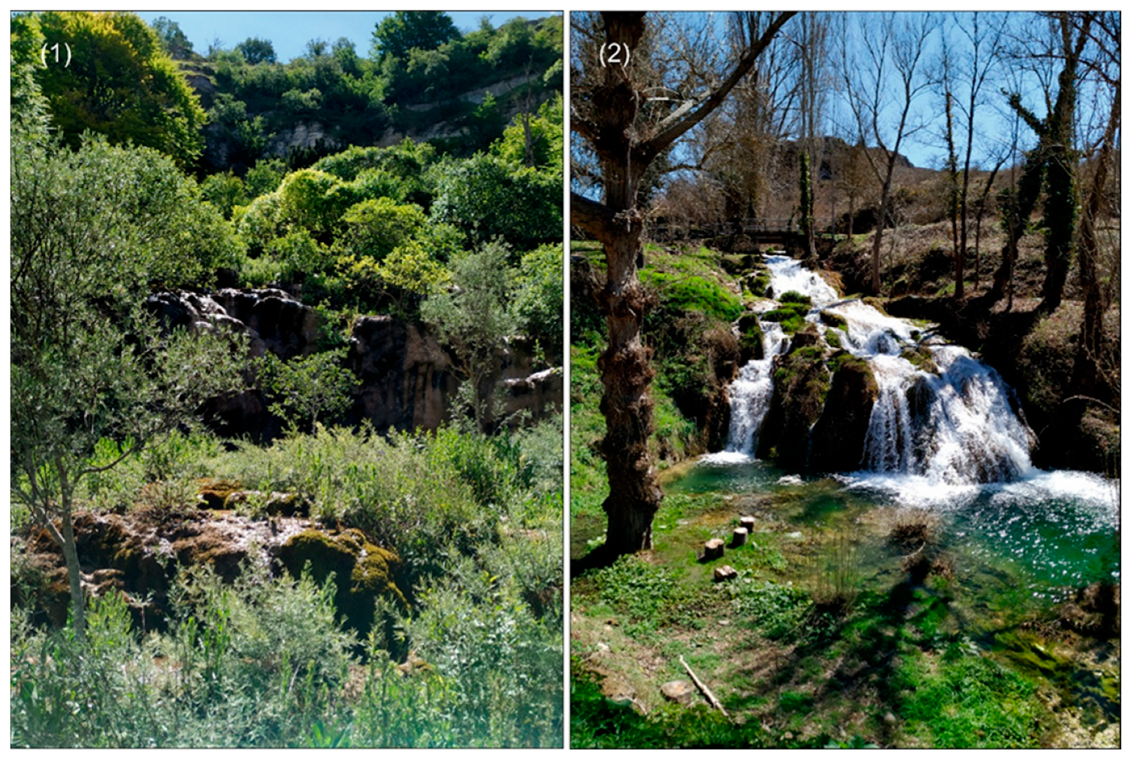 Resources 12 00014 g010