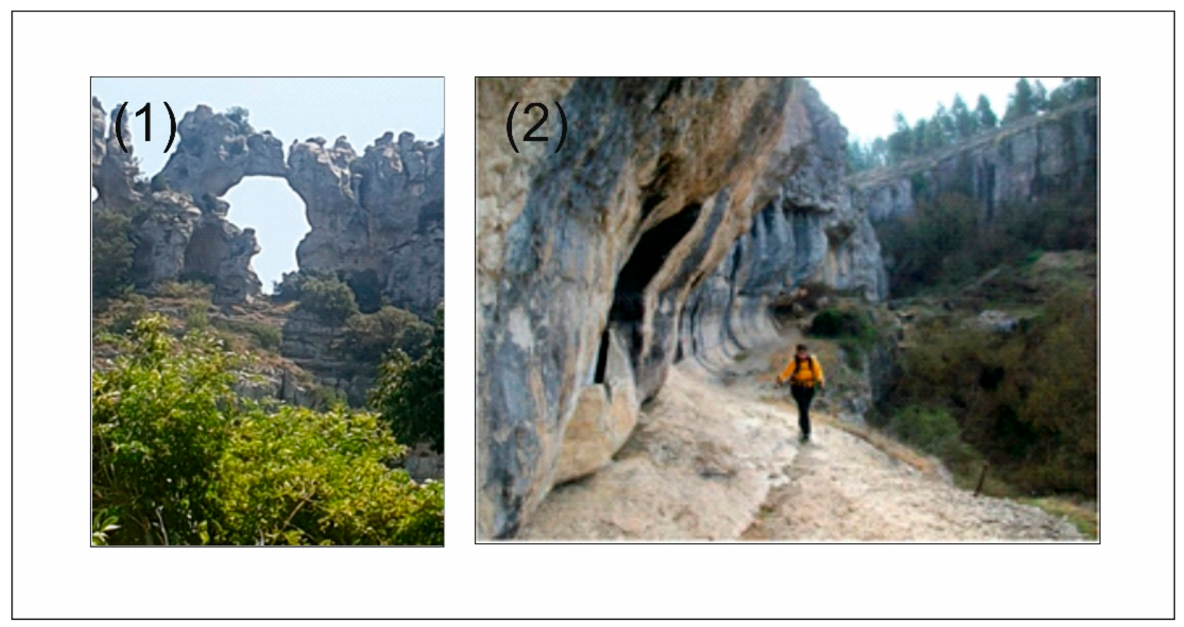 Resources 12 00014 g012