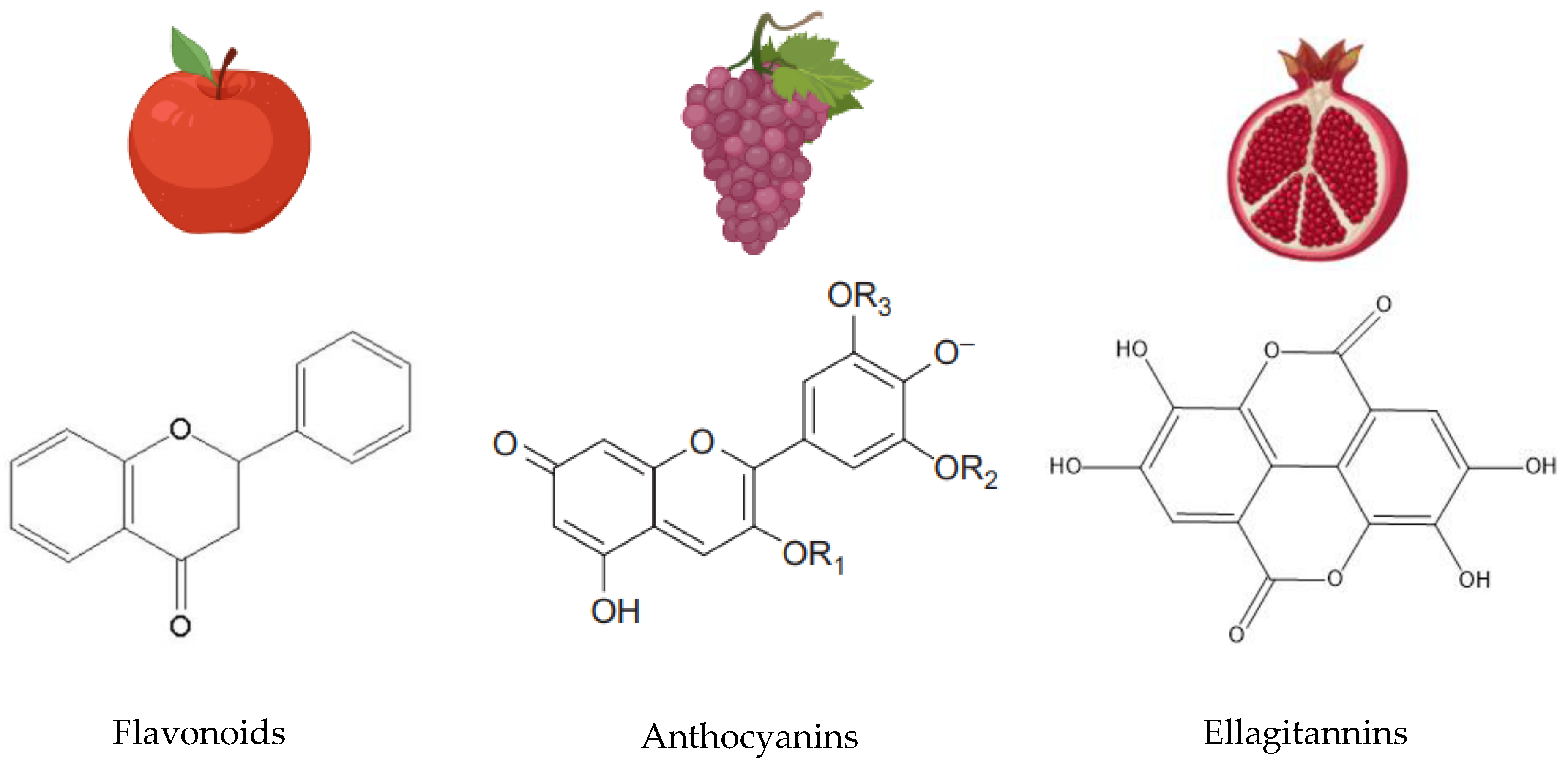 Resources 12 00036 g001