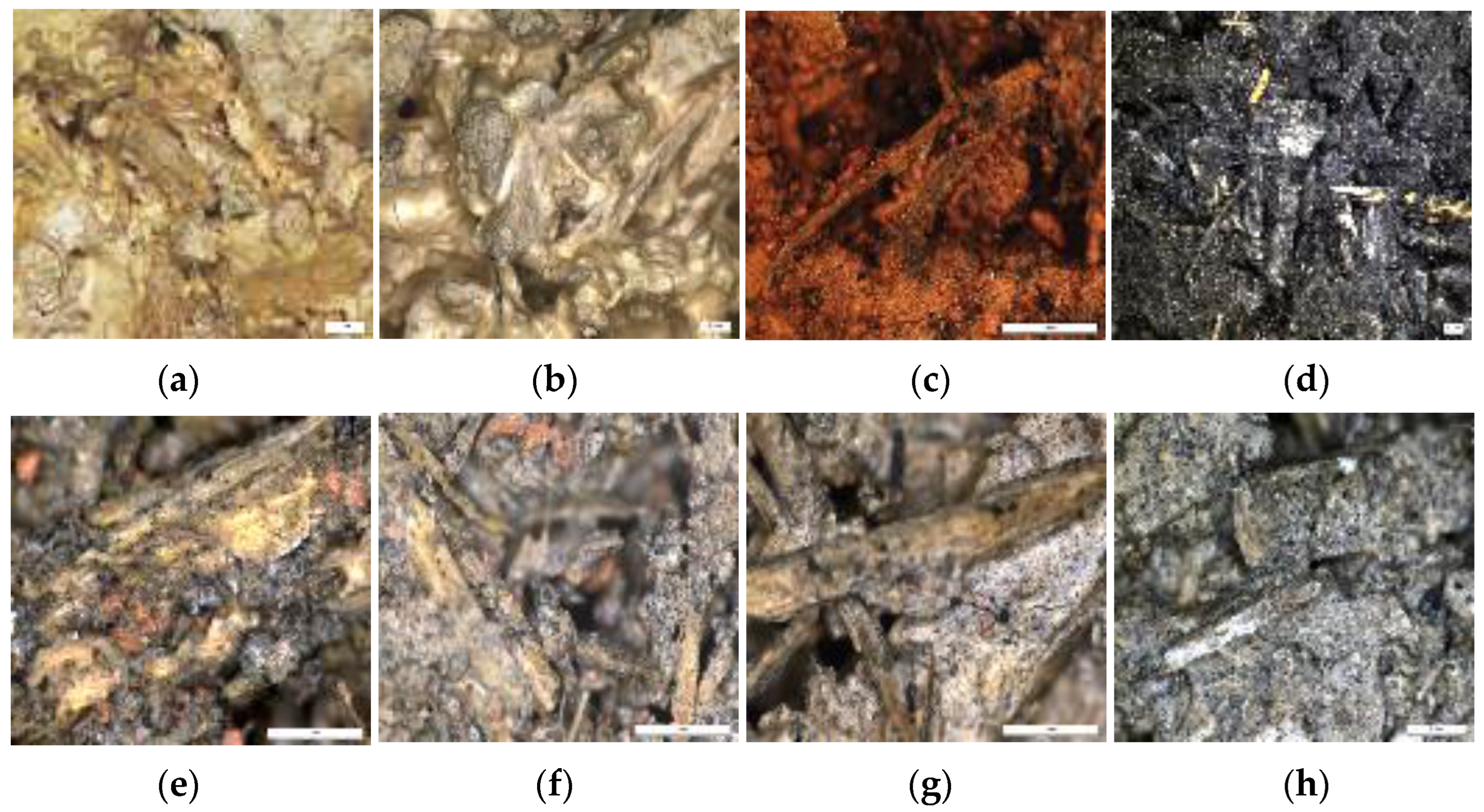 Resources 12 00055 g010