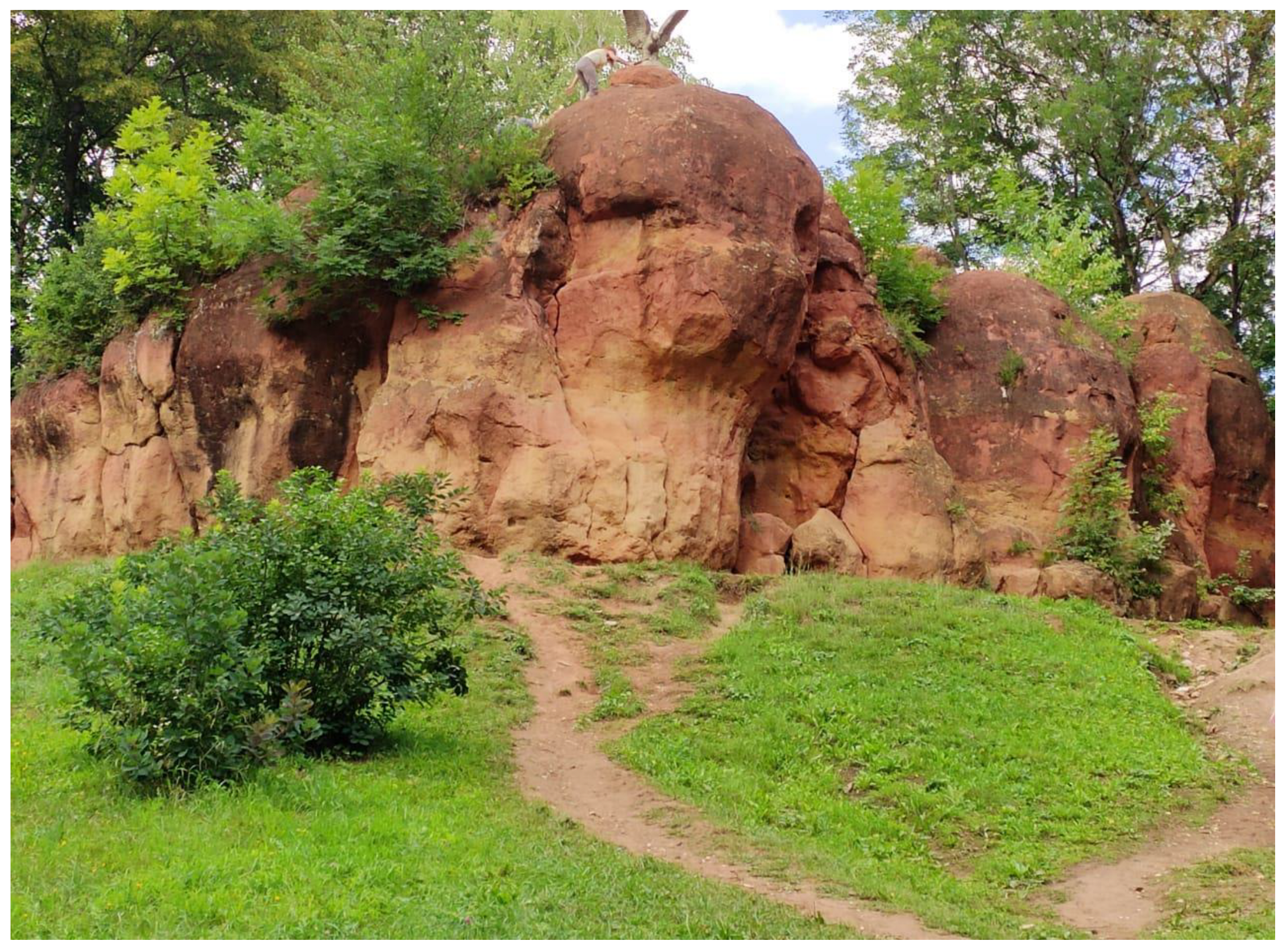 Resources 12 00061 g004