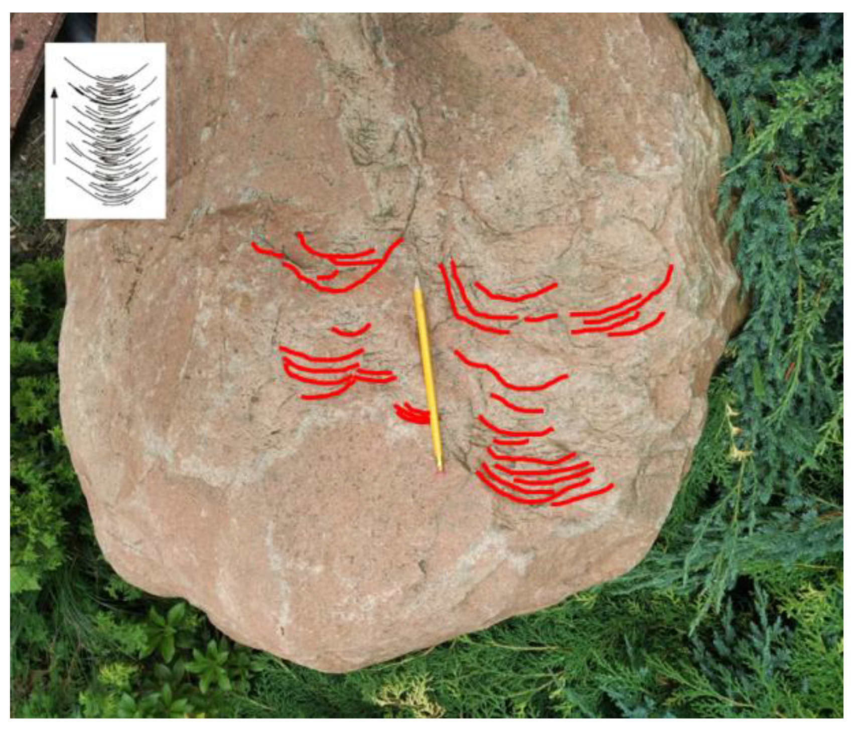 Resources 12 00071 g008