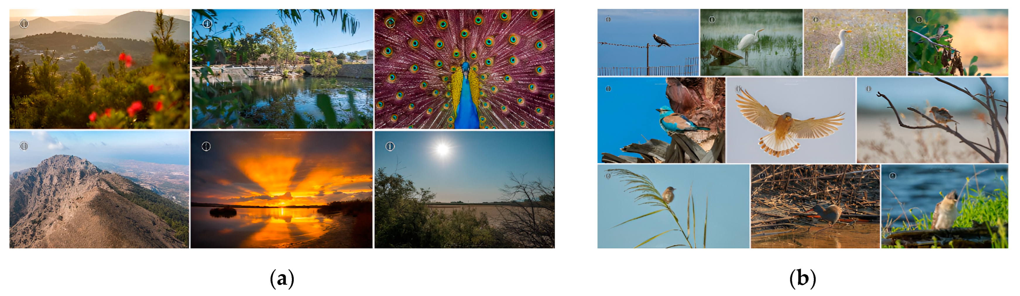 Resources 12 00074 g006