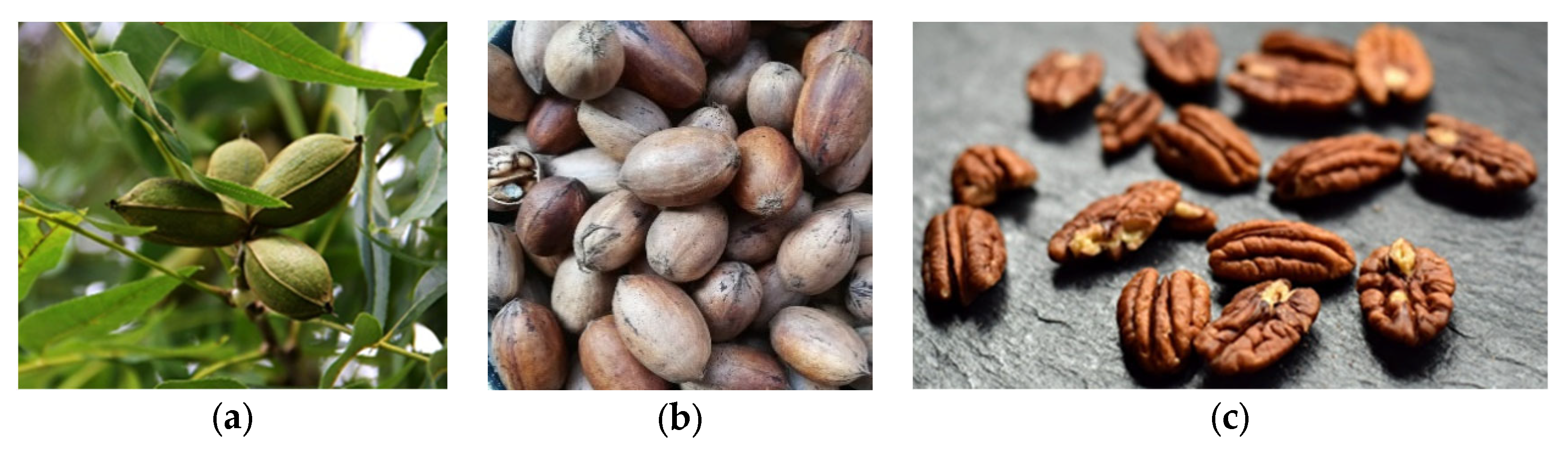 Resources 12 00103 g002