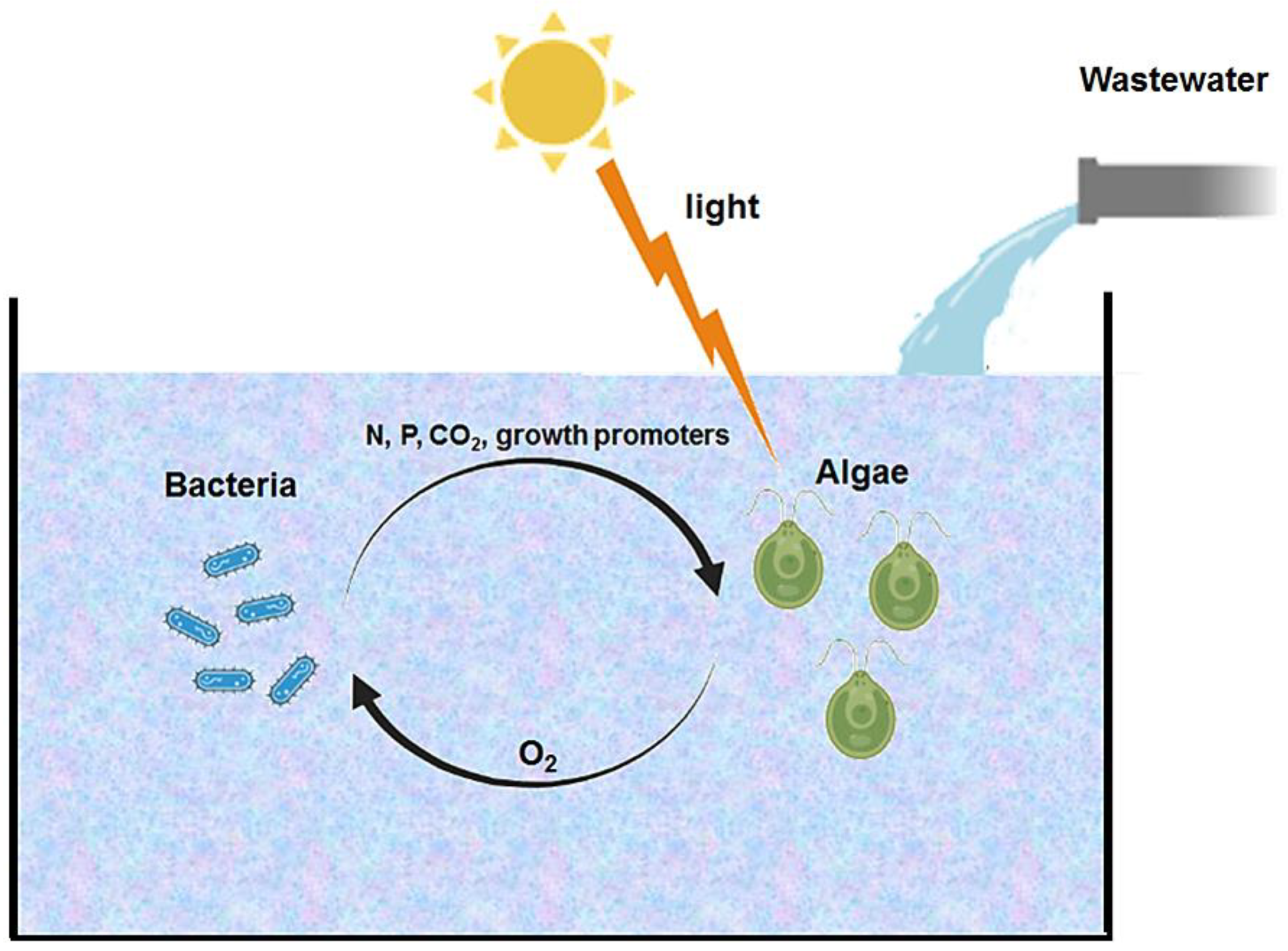 Resources 12 00119 g001