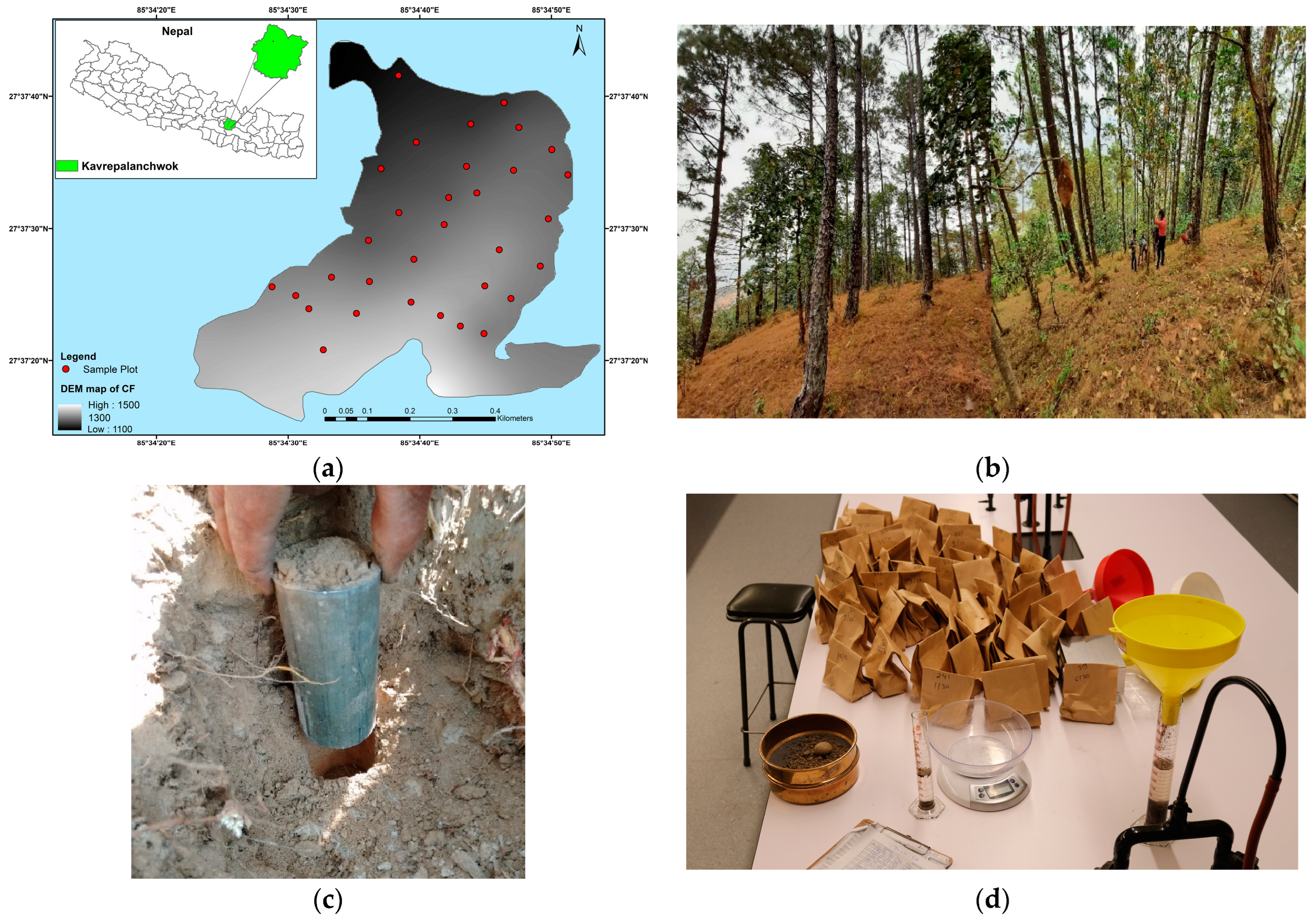 Resources 12 00136 g001