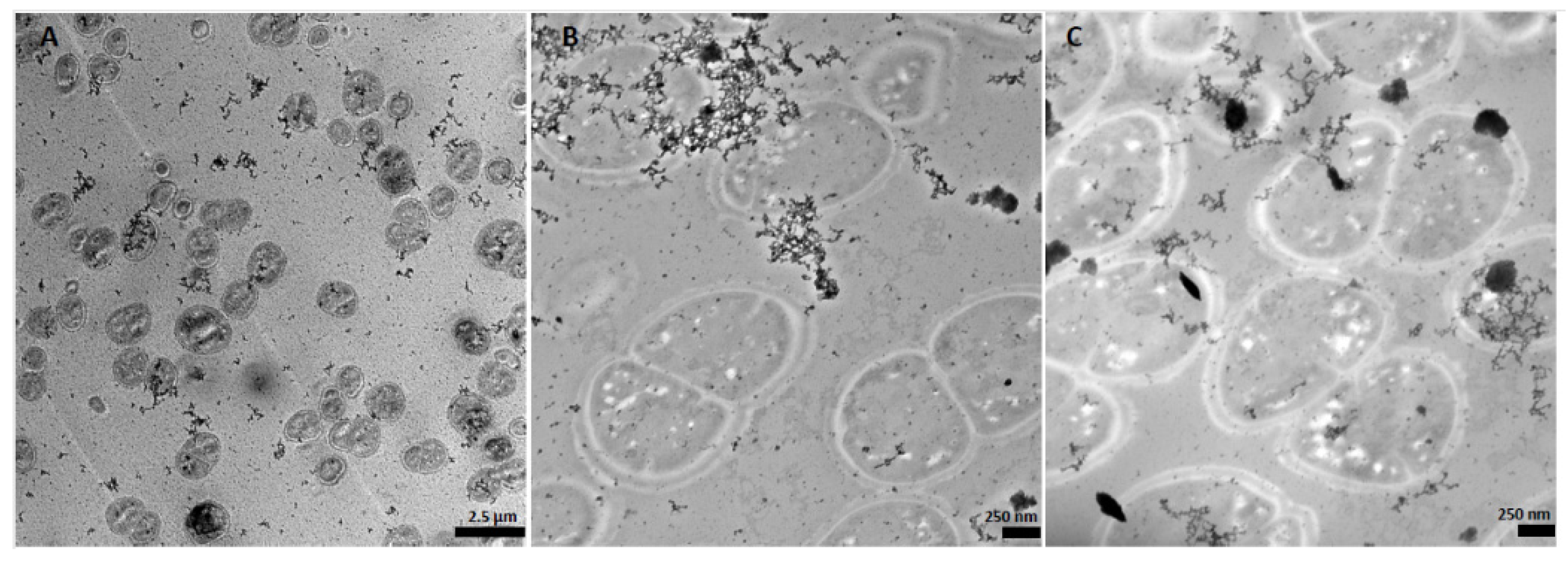 Resources 12 00144 g001