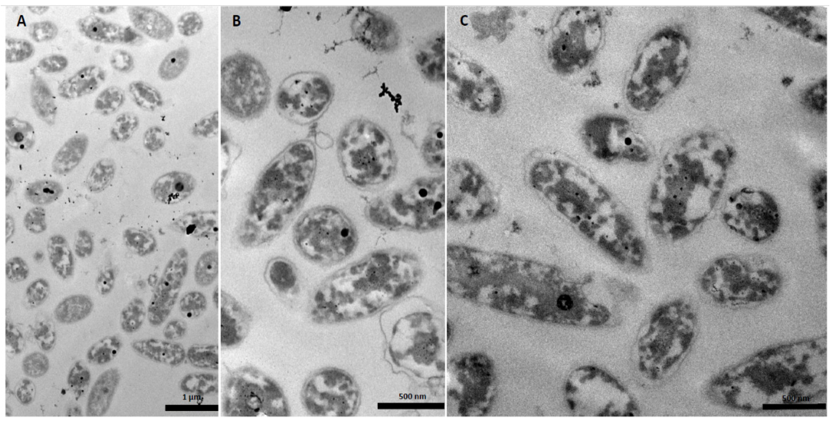 Resources 12 00144 g002