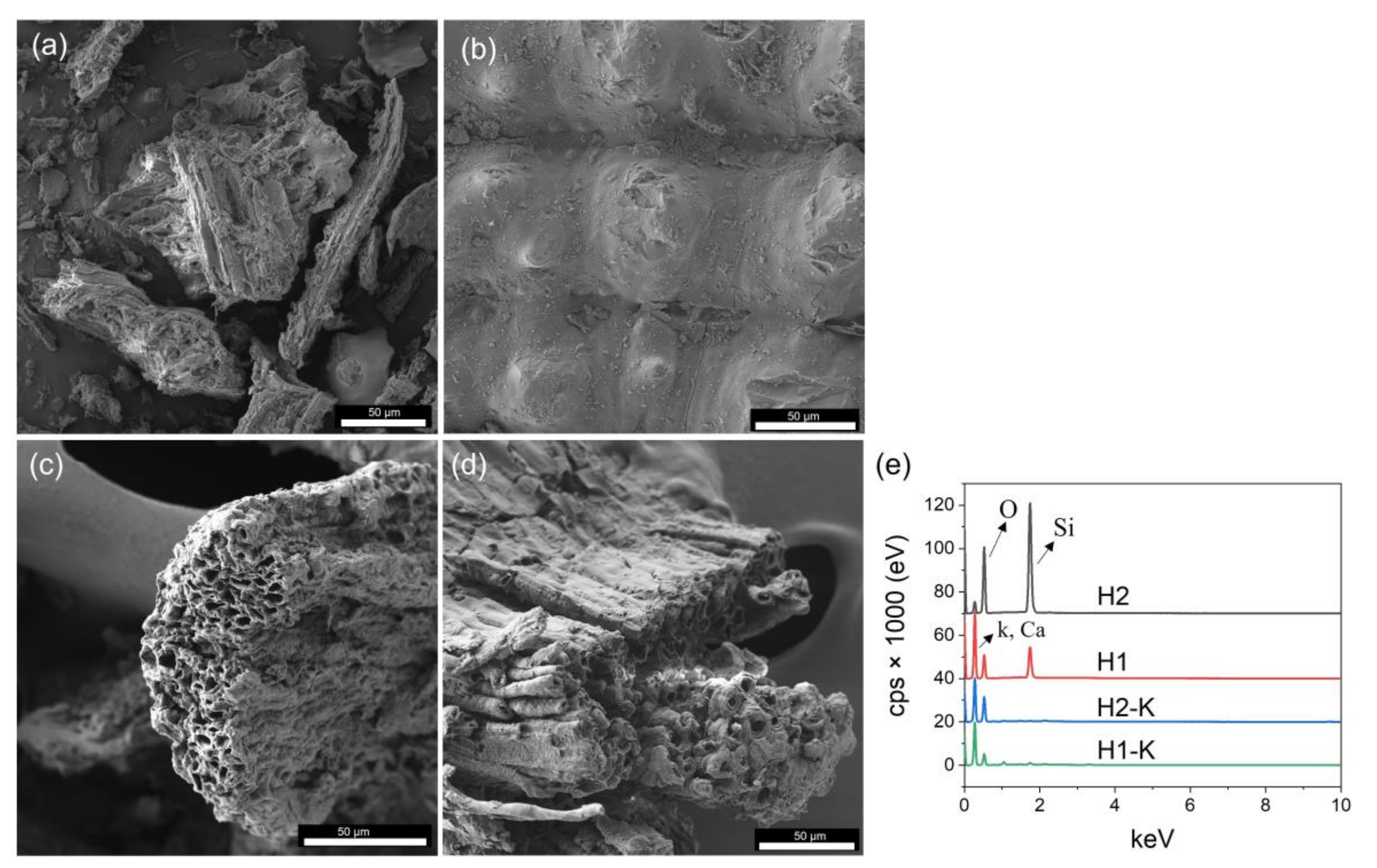 Resources 12 00145 g003