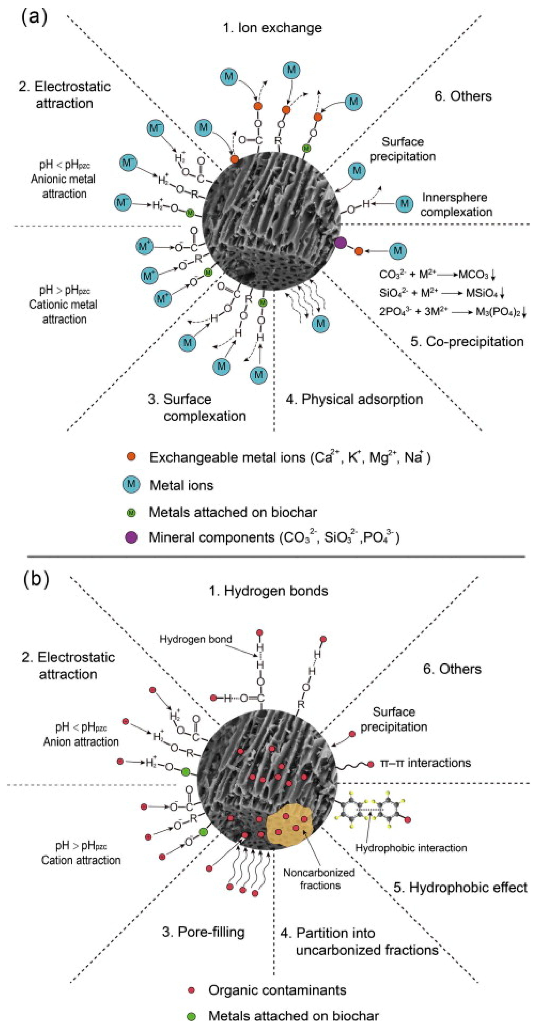Resources 13 00008 g005