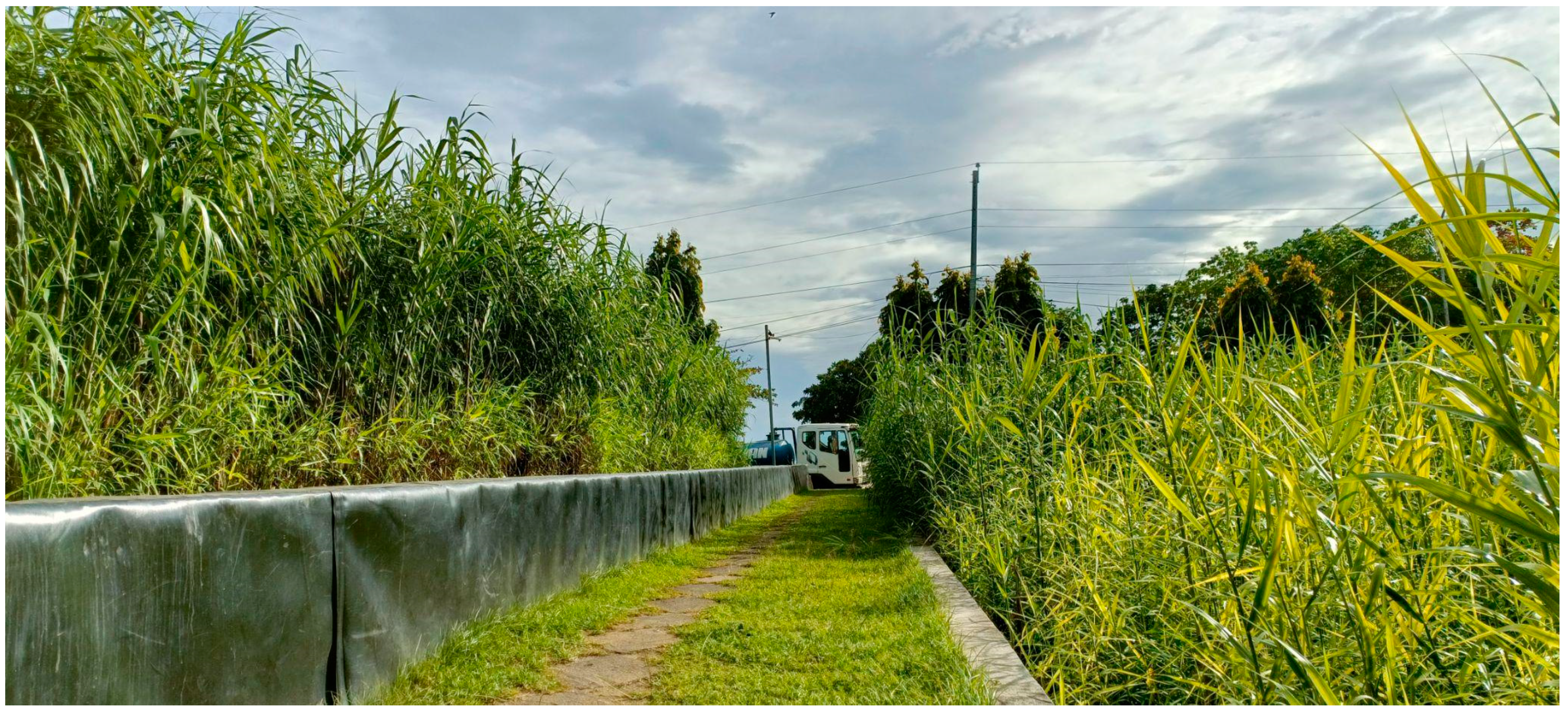 Resources 13 00011 g001