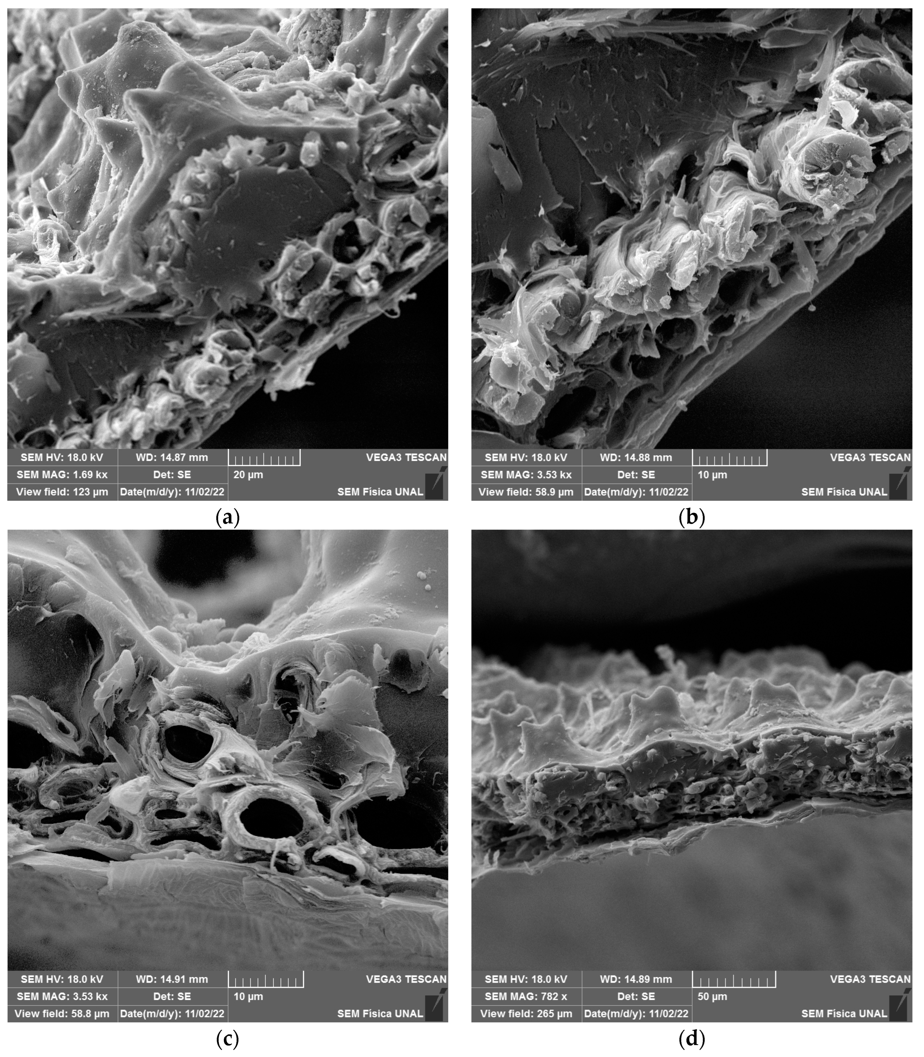 Resources 13 00016 g004