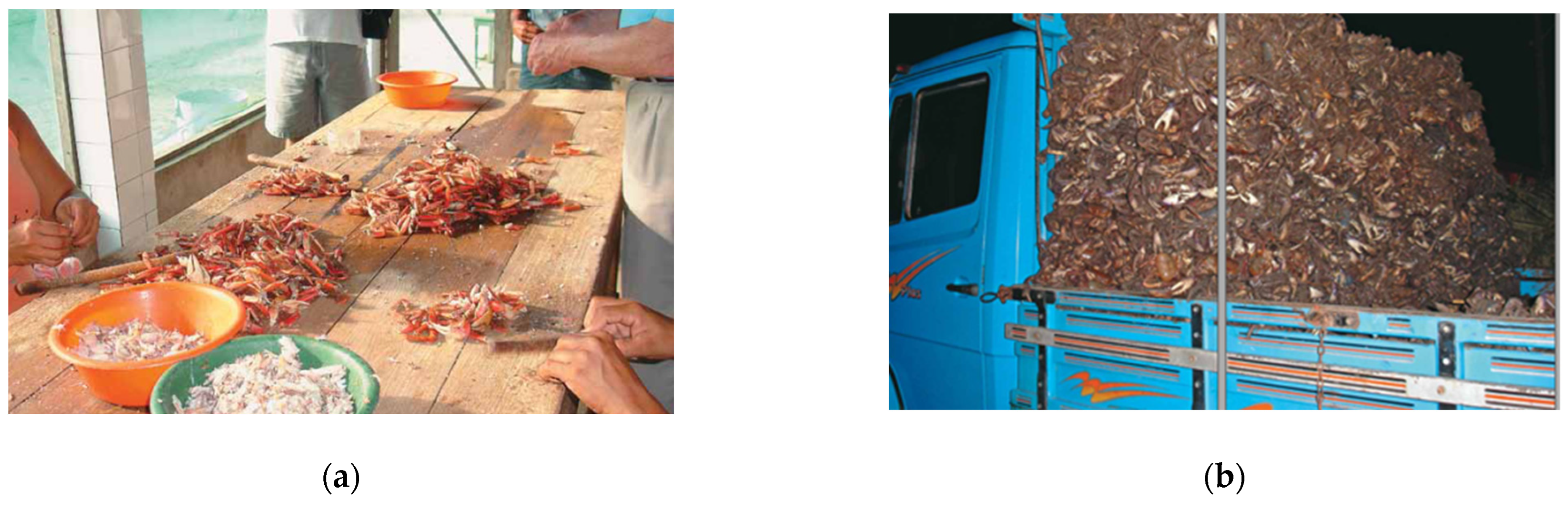 Resources 13 00046 g002