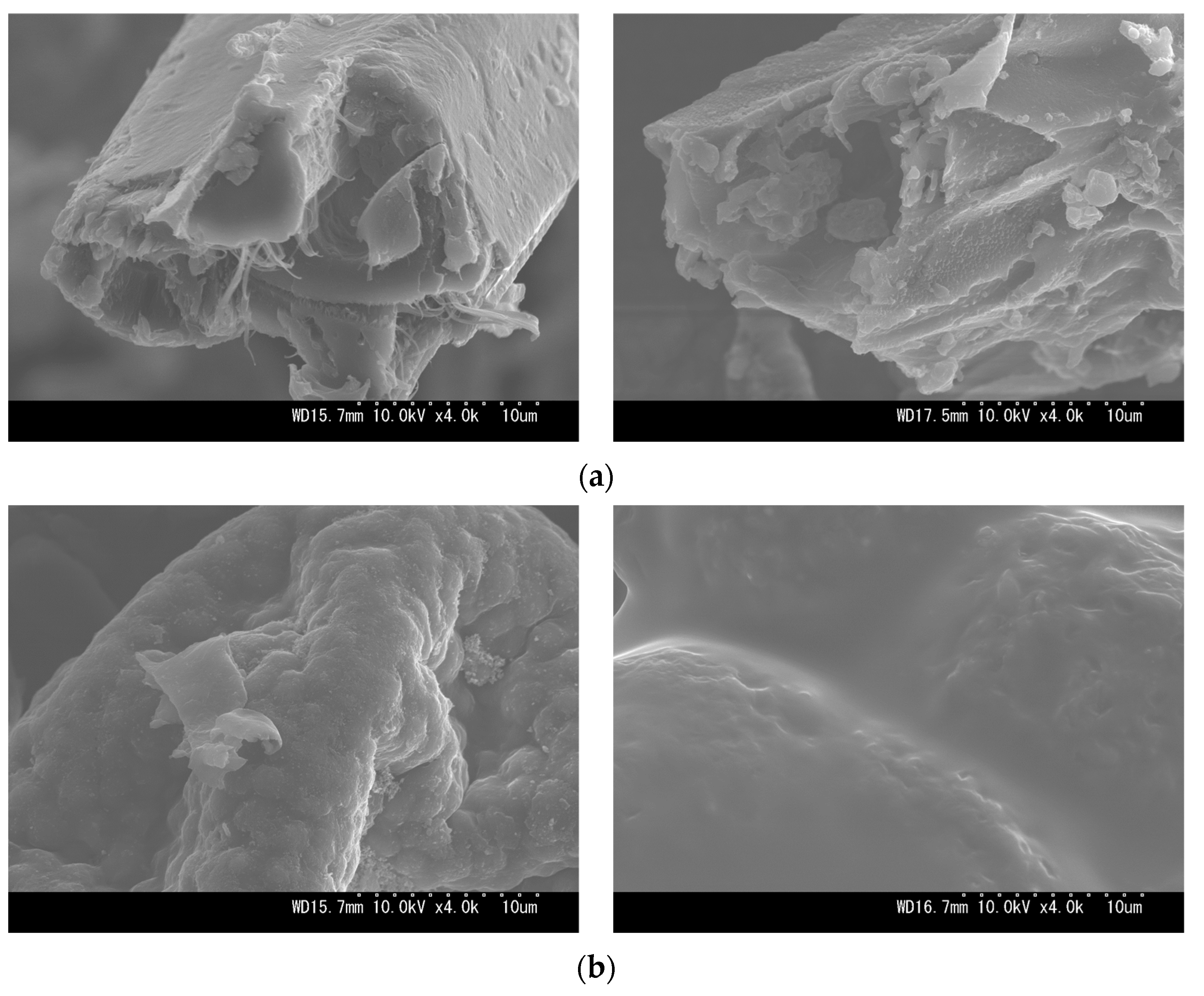 Resources 13 00049 g0a1 Resources 13 00049 g0a1