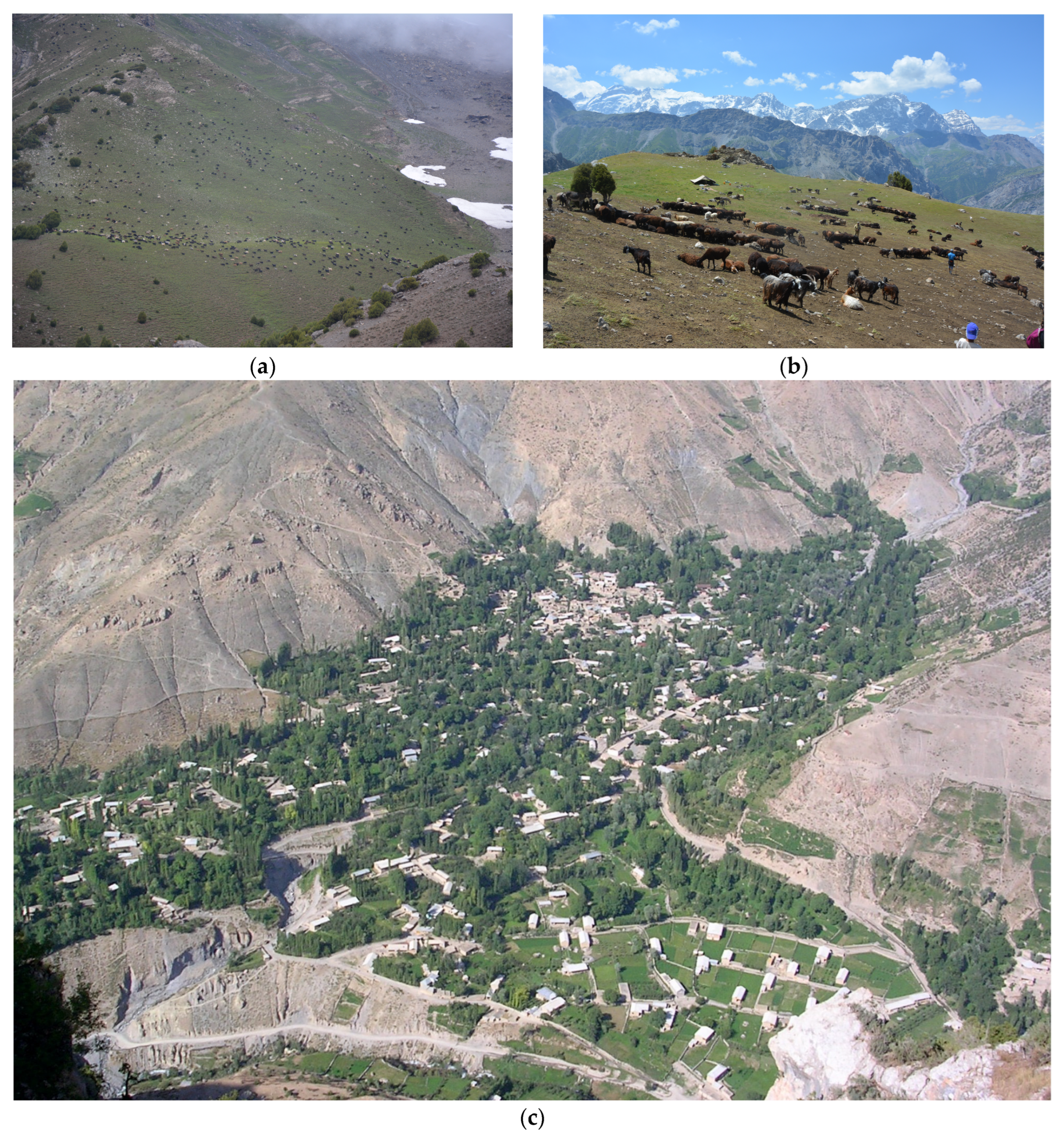 Resources 13 00059 g005