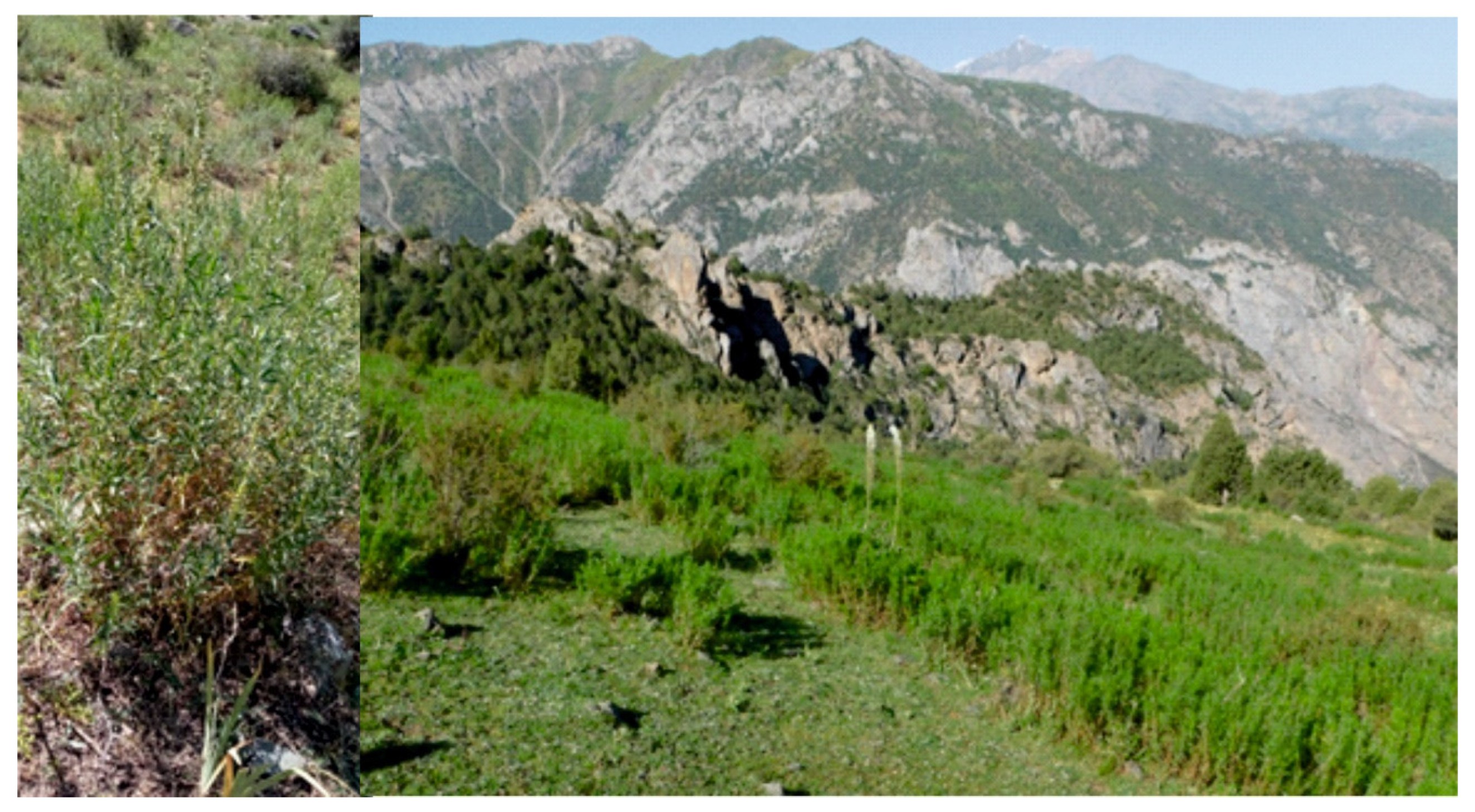 Resources 13 00059 g007