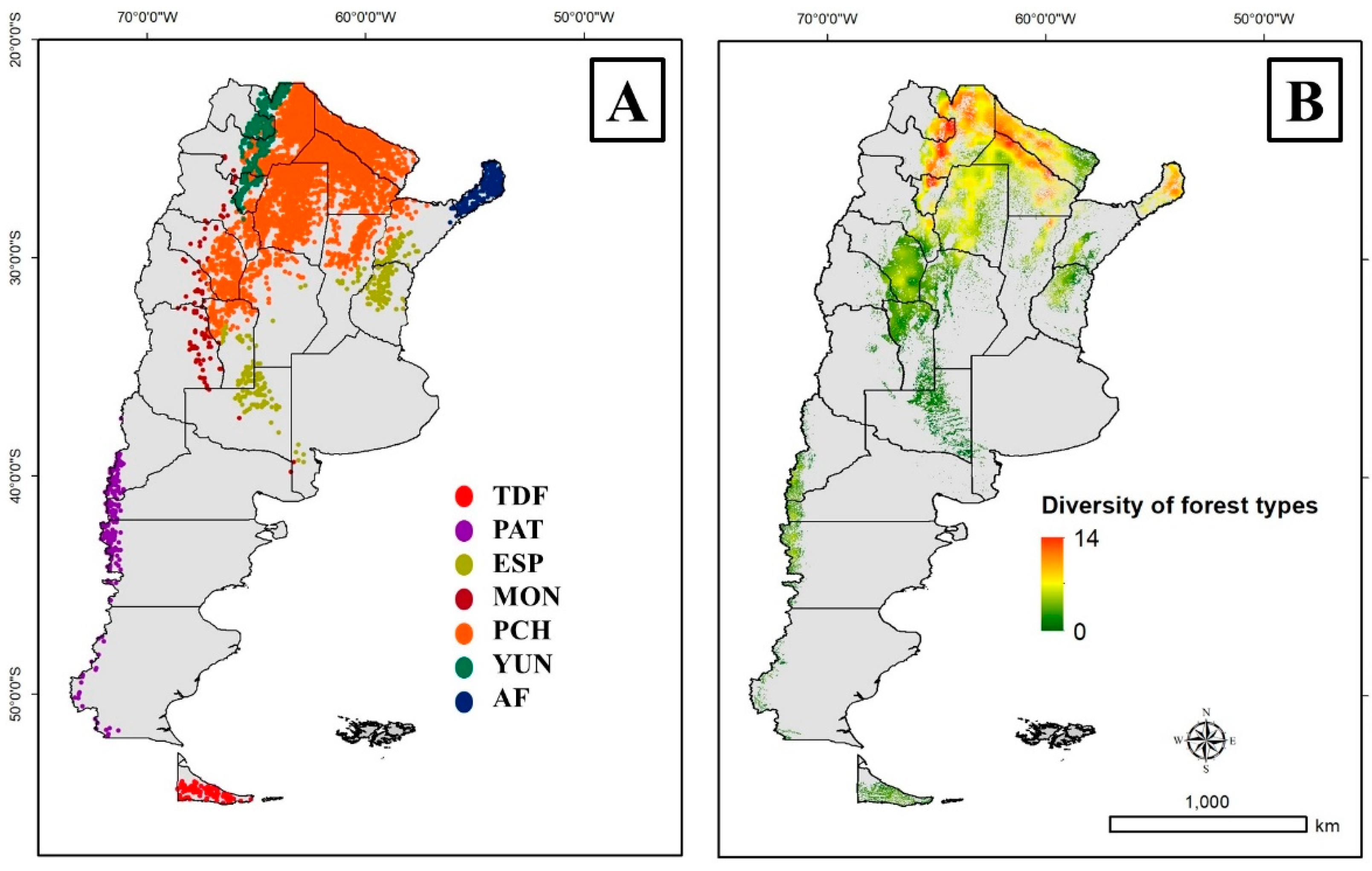 Different Approaches of Forest Type Classifications for Argentina 