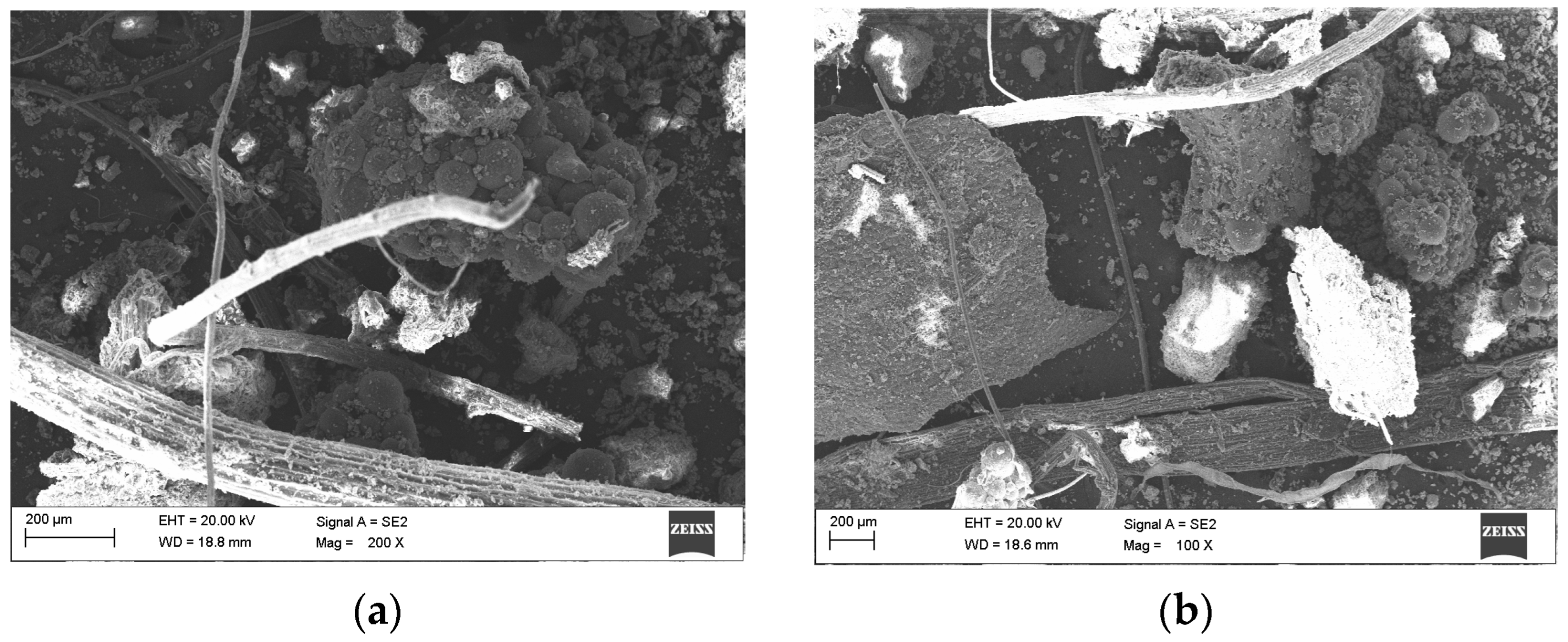 Resources 13 00075 g002