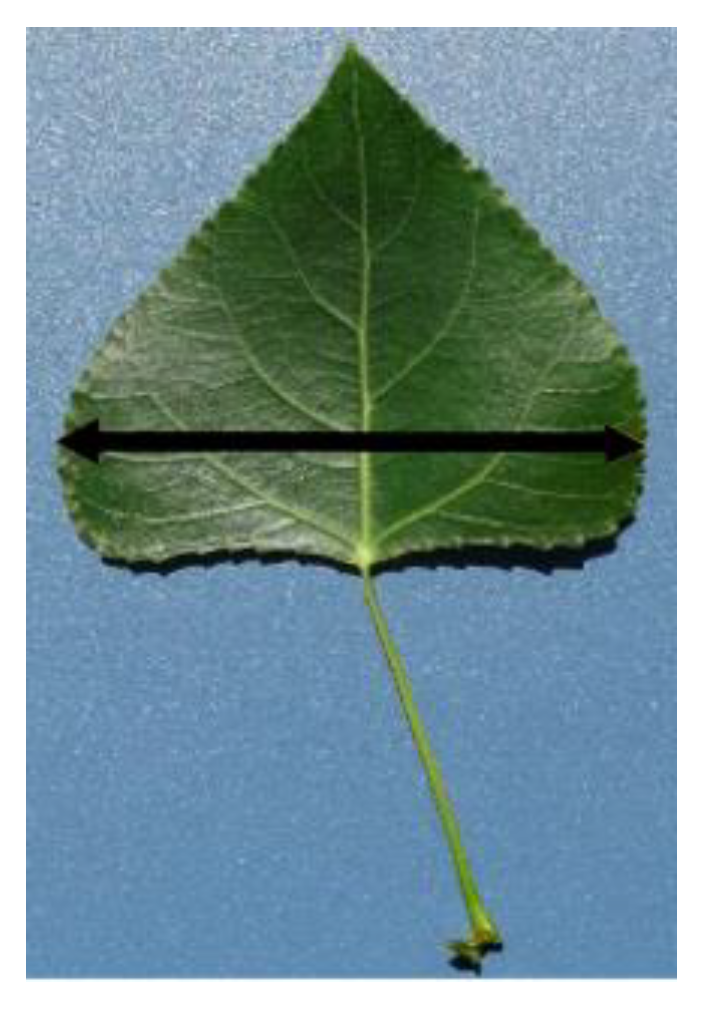 Resources 13 00085 g002