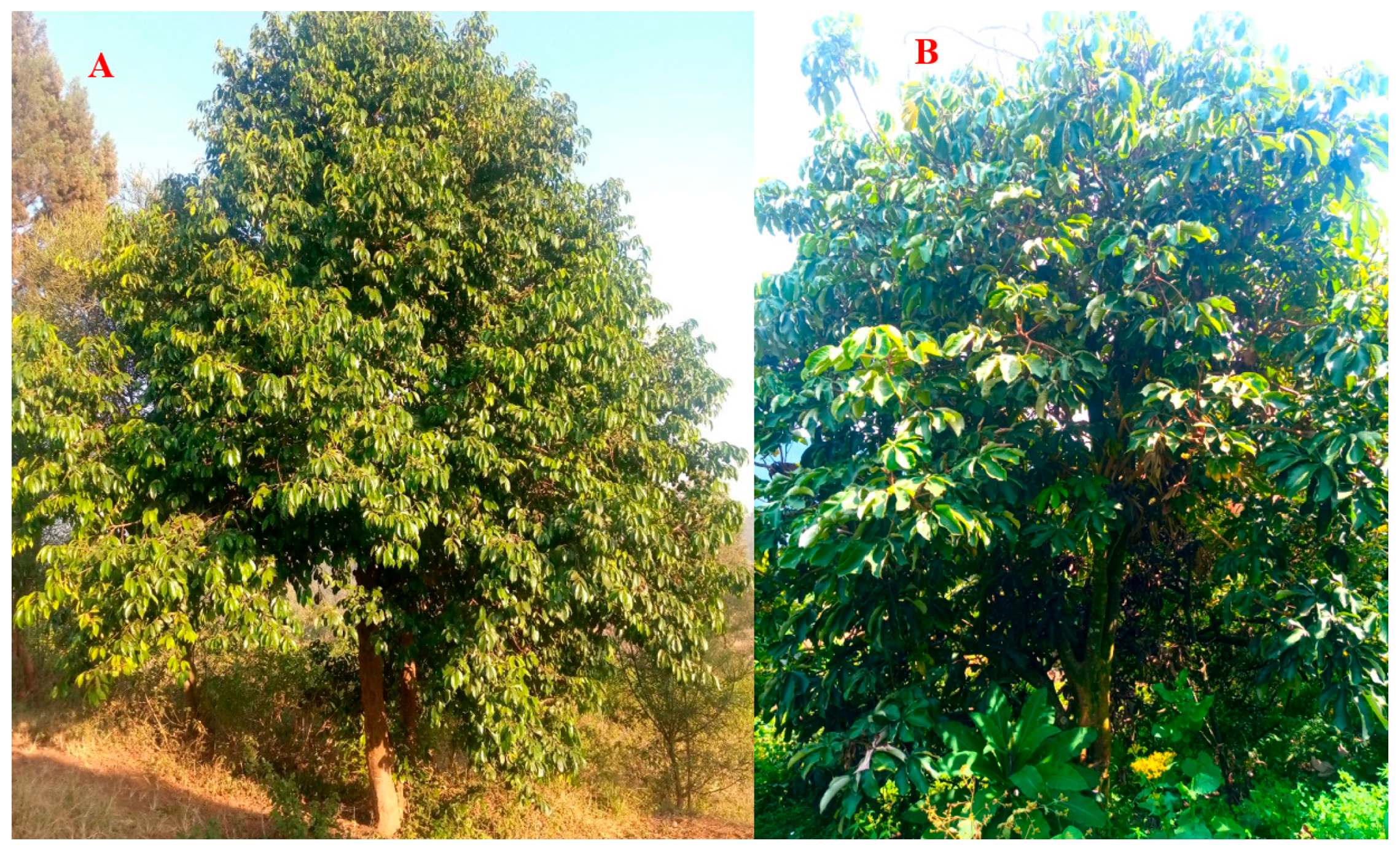 Resources 13 00101 g002