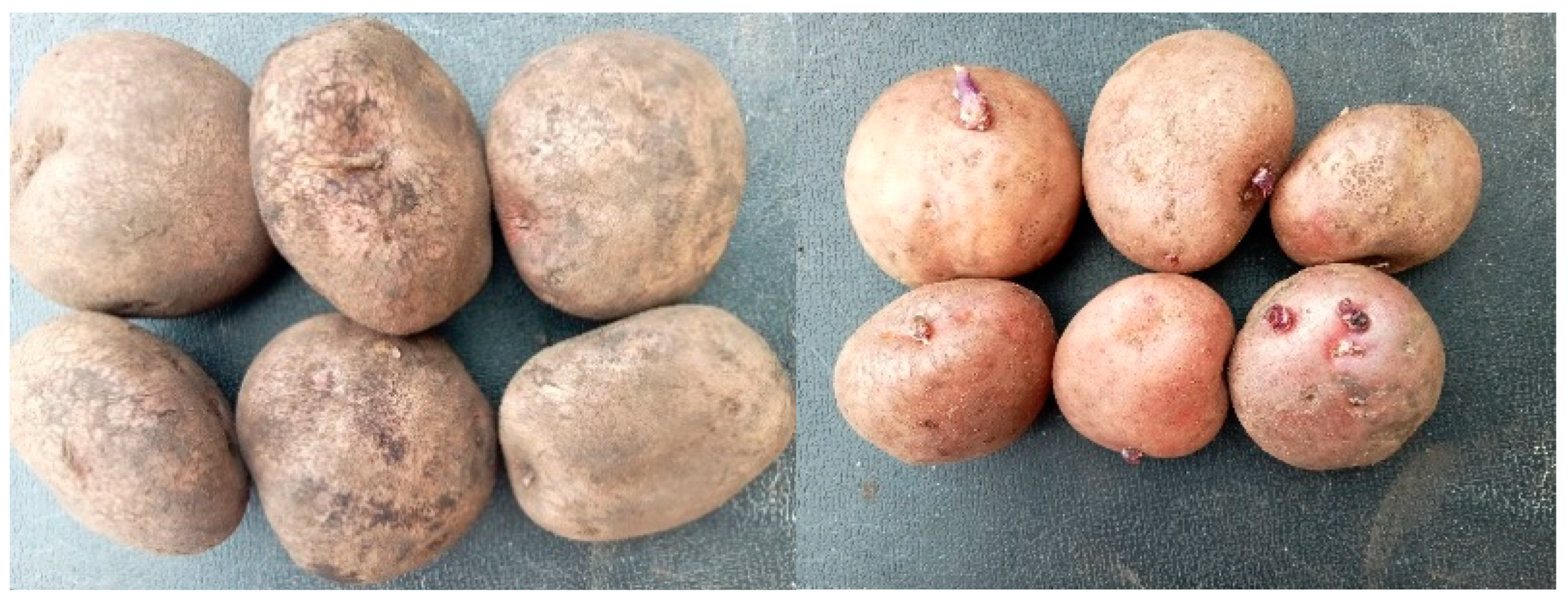 Resources 13 00137 g004