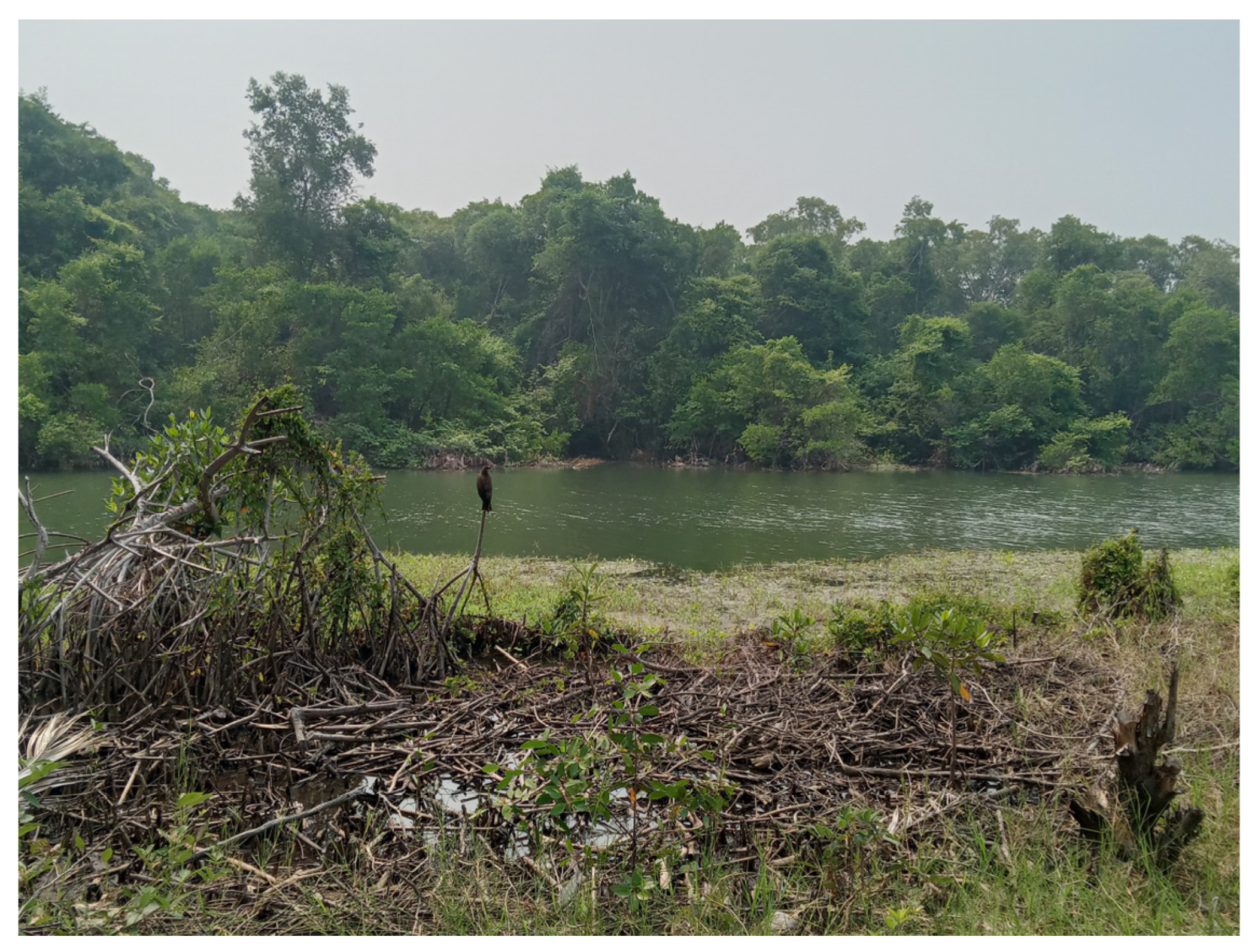 Resources 13 00154 g002