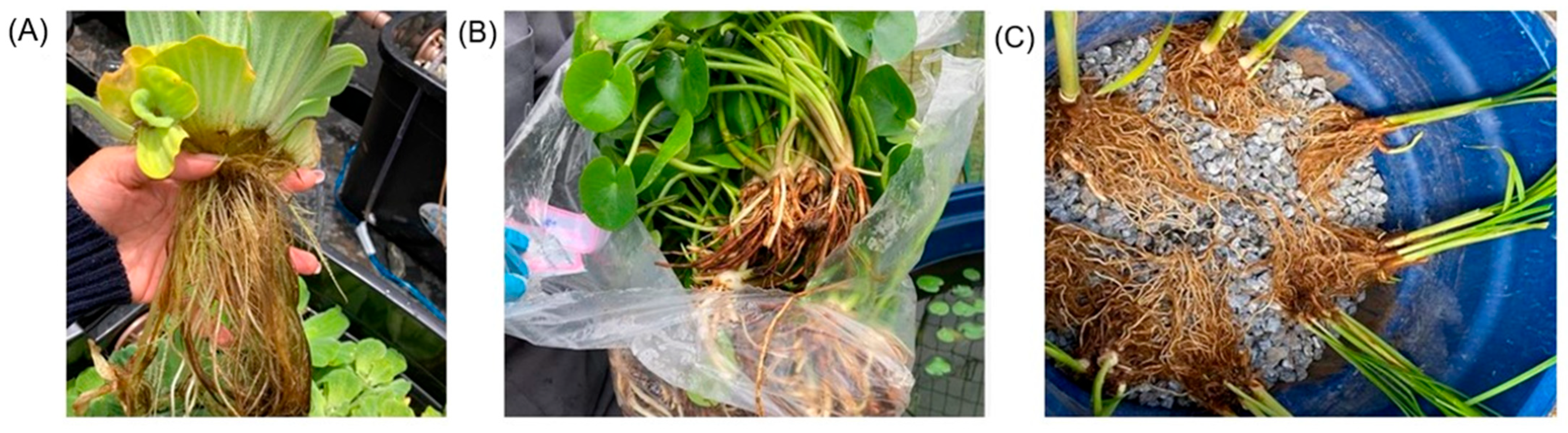 Resources 13 00168 g002