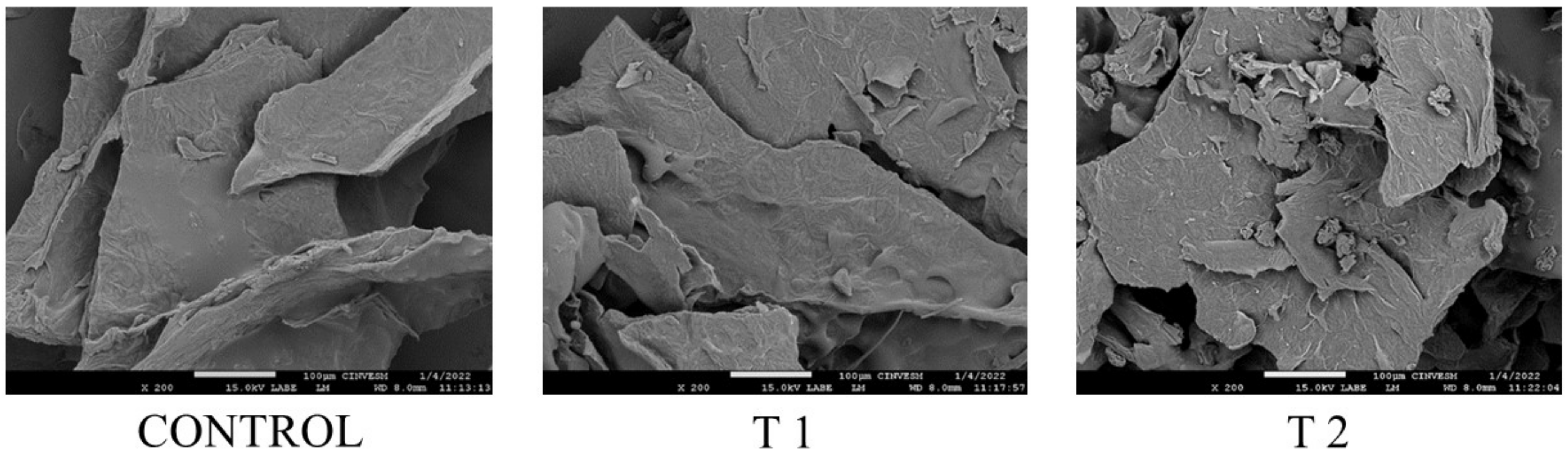 Resources 13 00175 g002