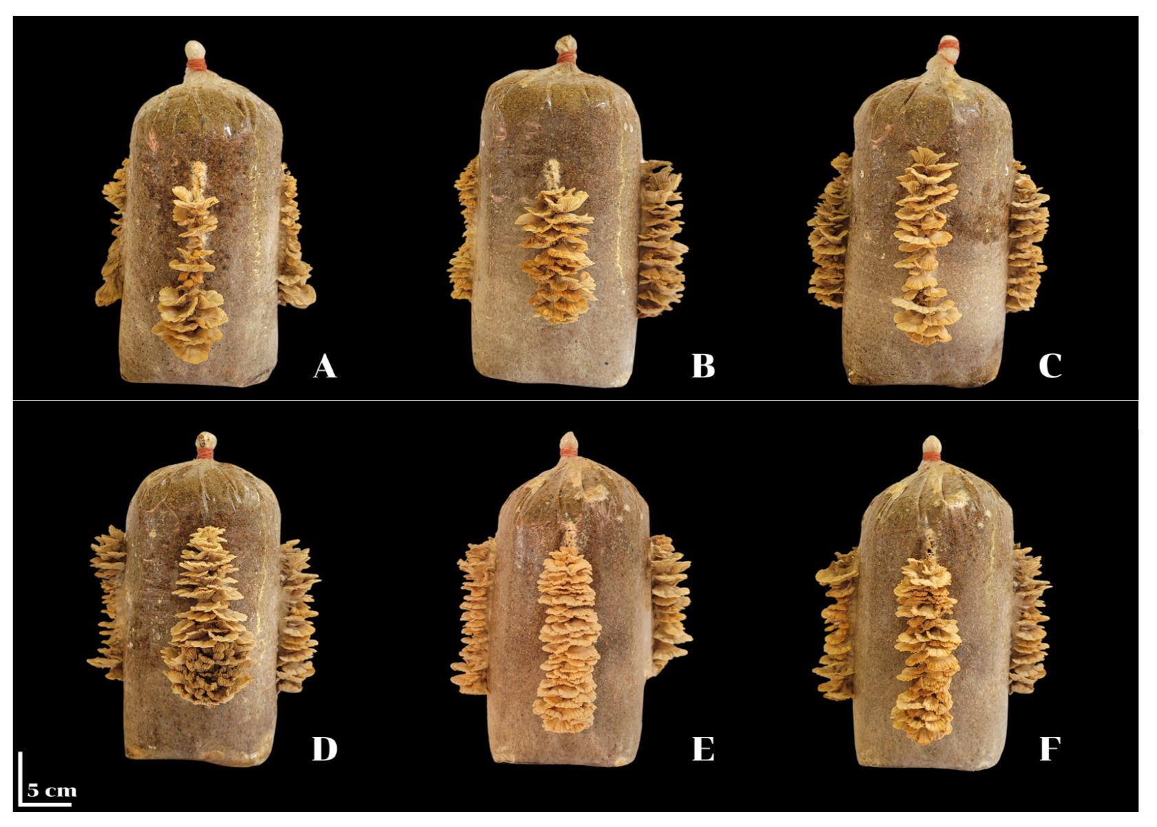 Resources 14 00003 g002