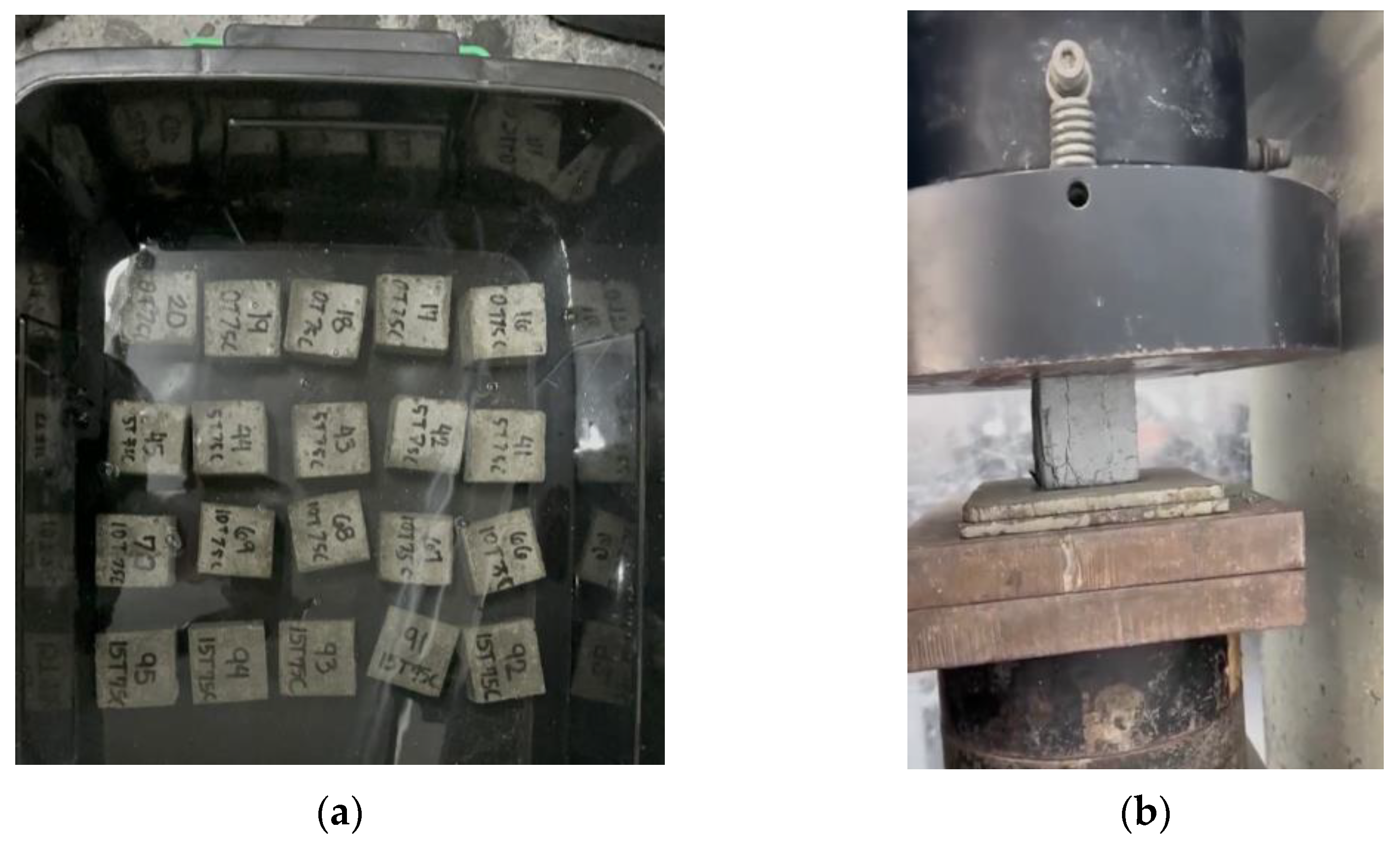 Resources 14 00009 g004